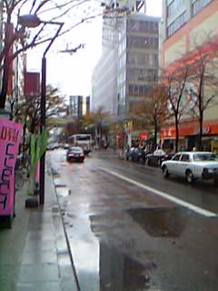 �������̕��ʂ֌������X�H���̌͗t