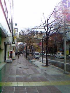 �K���H���̊X�H���A�t���U���Ă���̂�������B