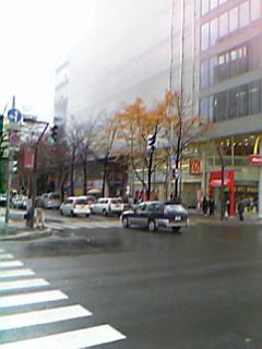 ��3��ʂ̊X�H���̌͗t�@�U���Ă���̂��悭������B