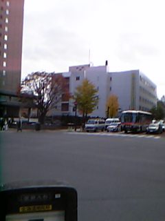 ���̍g�t�̊X�H���Ɩk1���