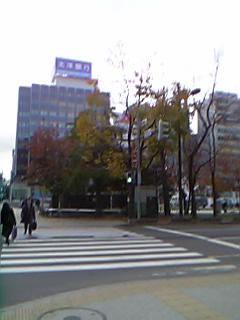 ���̑�ʌ����ƔӏH�̍g�t