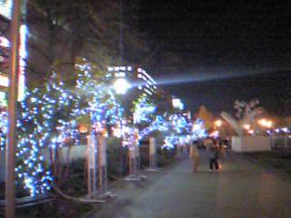 �����_�������D�y��ʂ�����̃C���~�l�[�V����