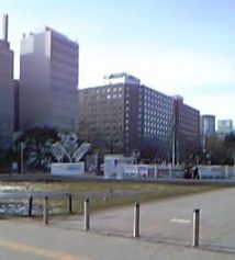 �J�Â����΂���̎D�y�z���C�g�C���~�l�[�V����