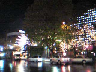 ��ɂȂ��ă��C�g�A�b�v���ꂽ�J�Â����΂���̎D�y�z���C�g�C���~�l�[�V����