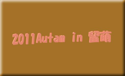 2011Autam in Rumoi