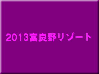 2013�x�ǖ샊�]�[�g