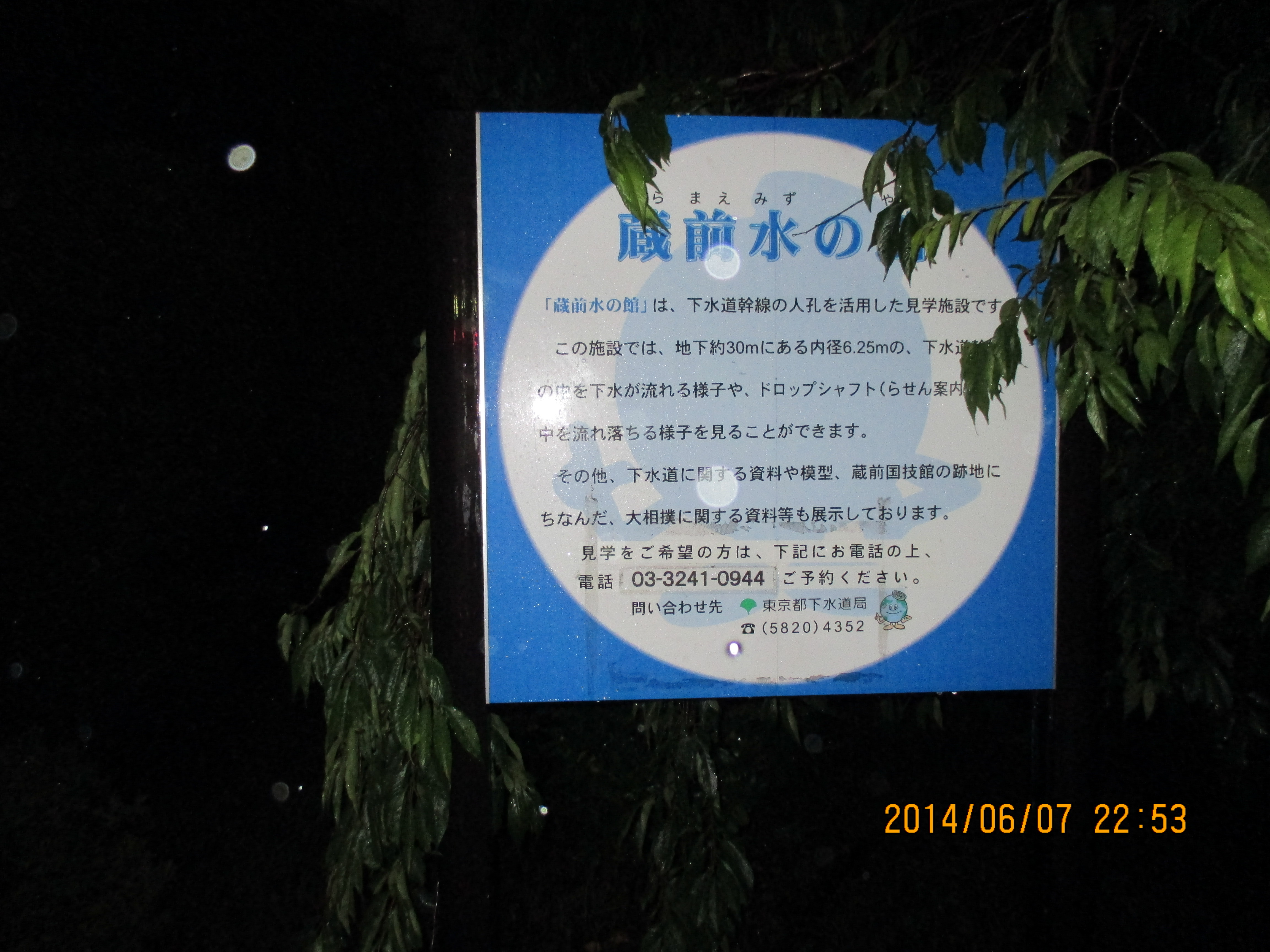 ���O���̊�