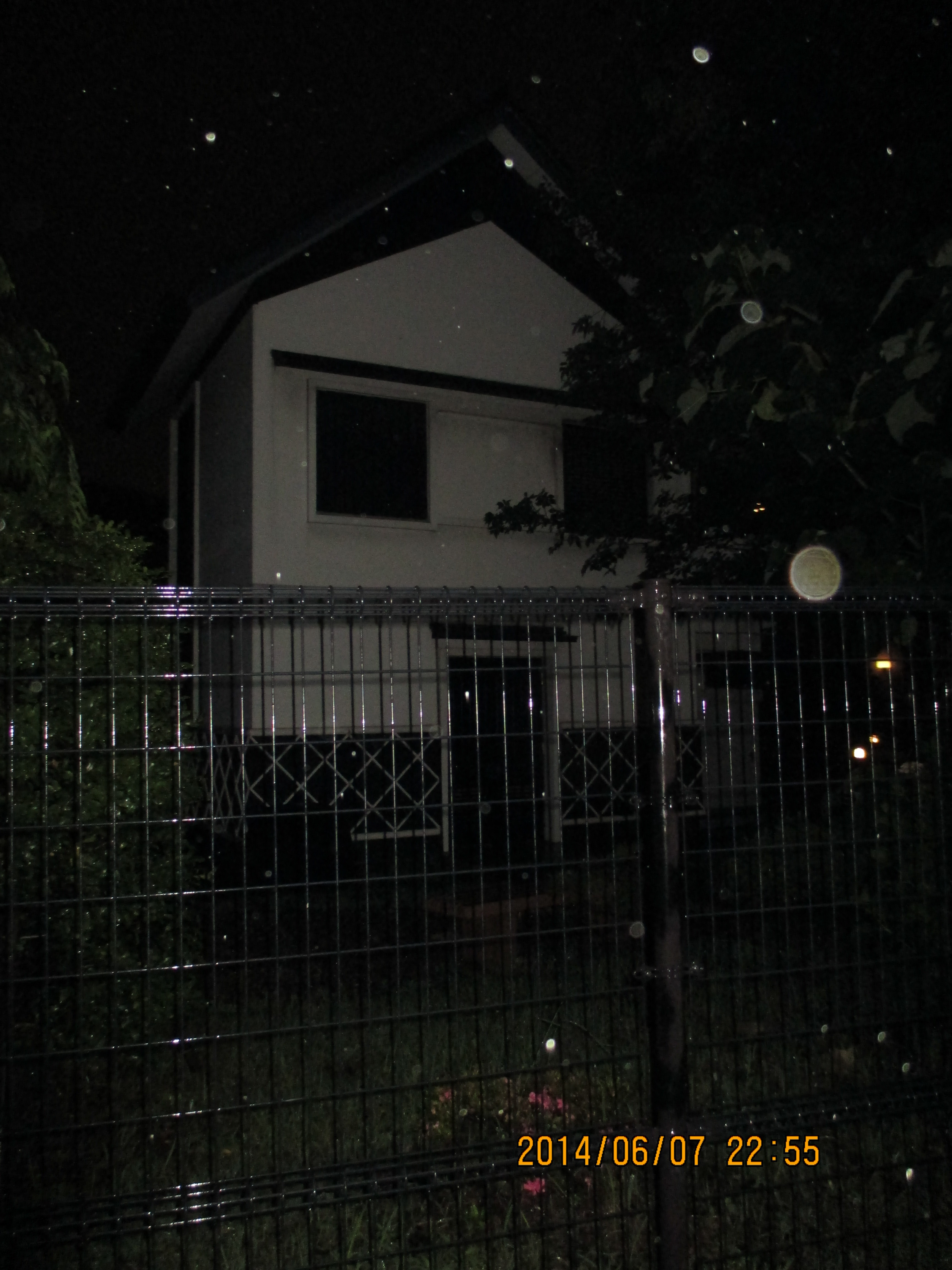 ���O���̊�