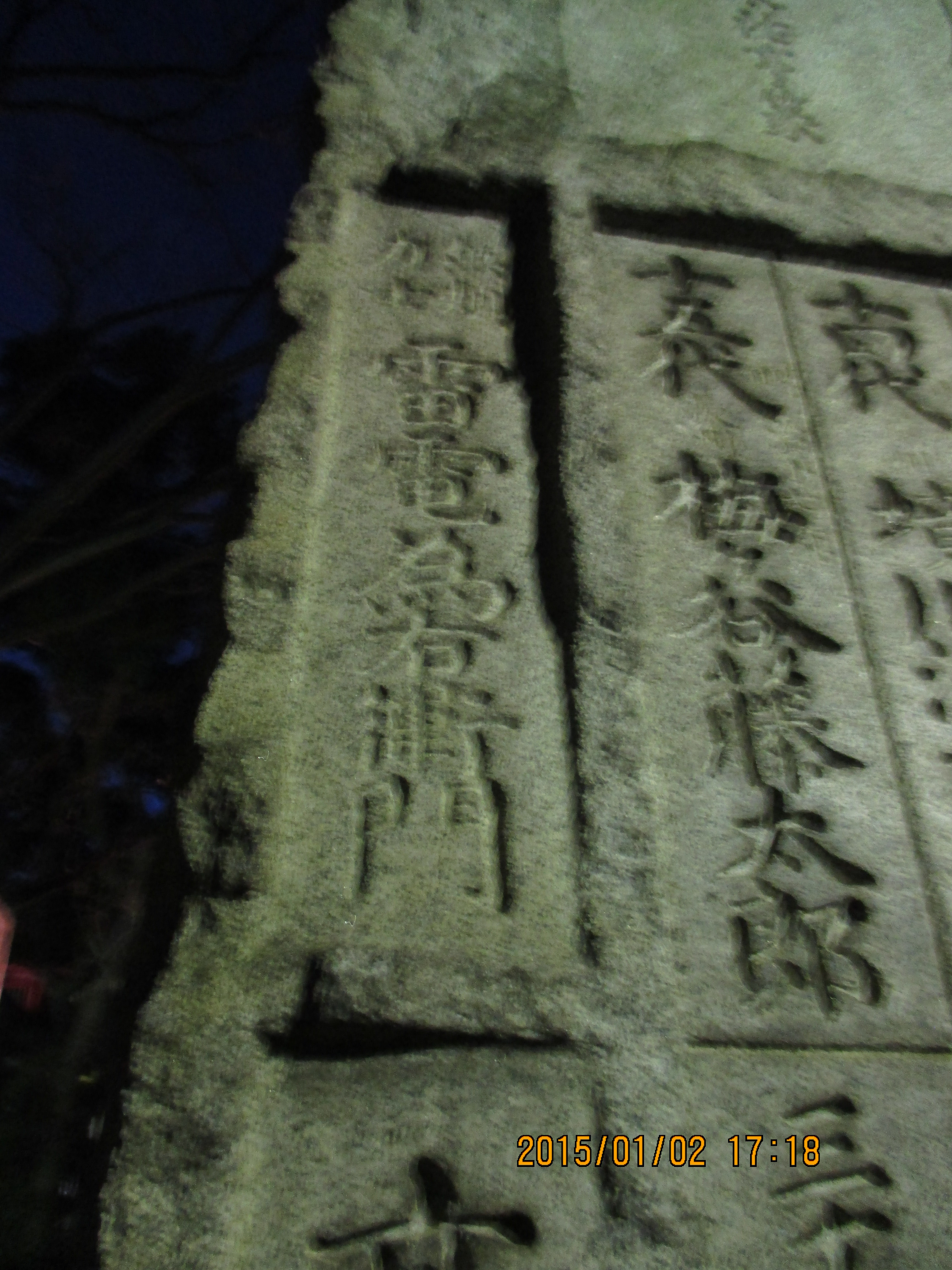 ���d�׉E�q��