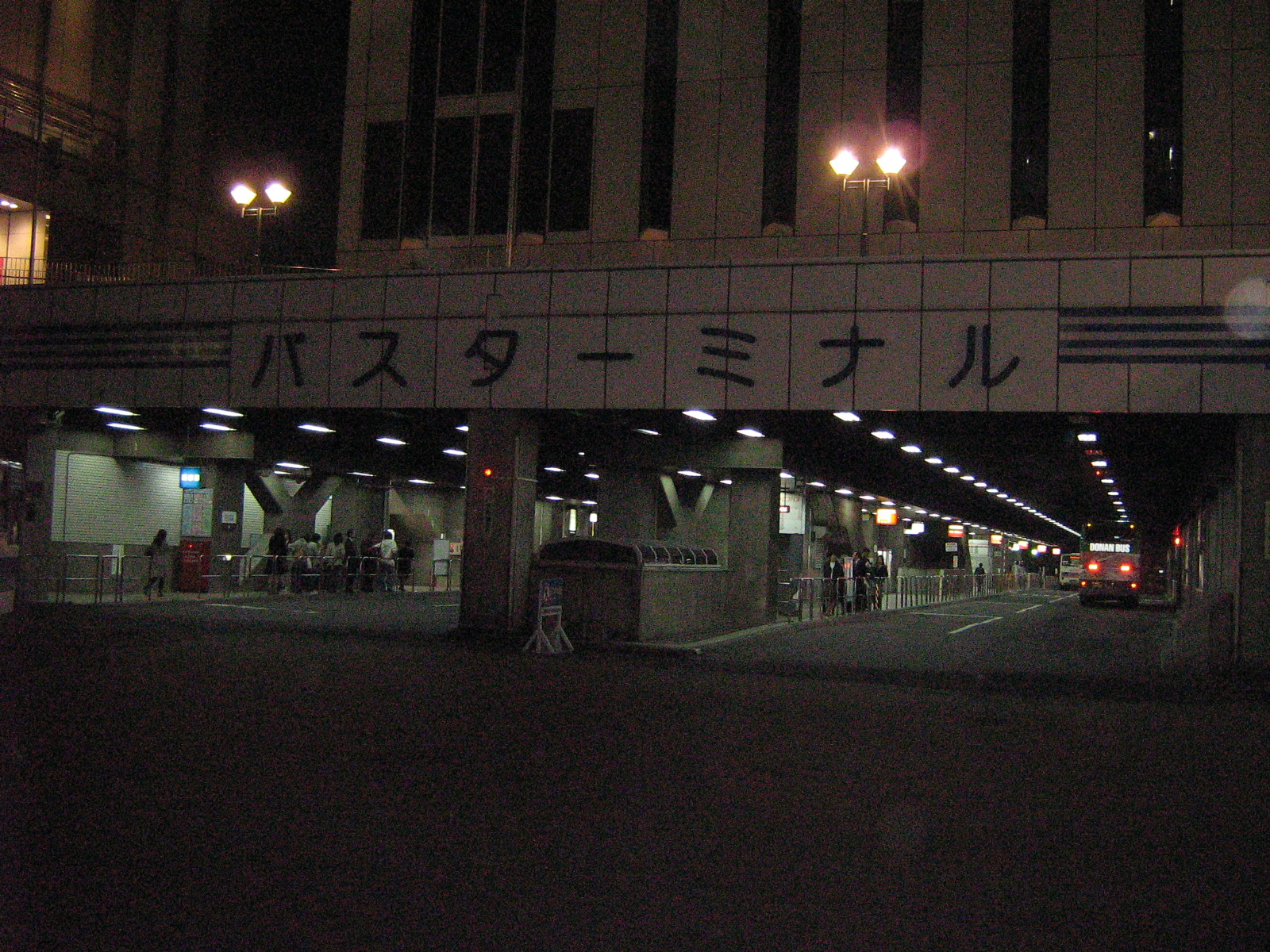 �D�y�w�O�^�[�~�i��