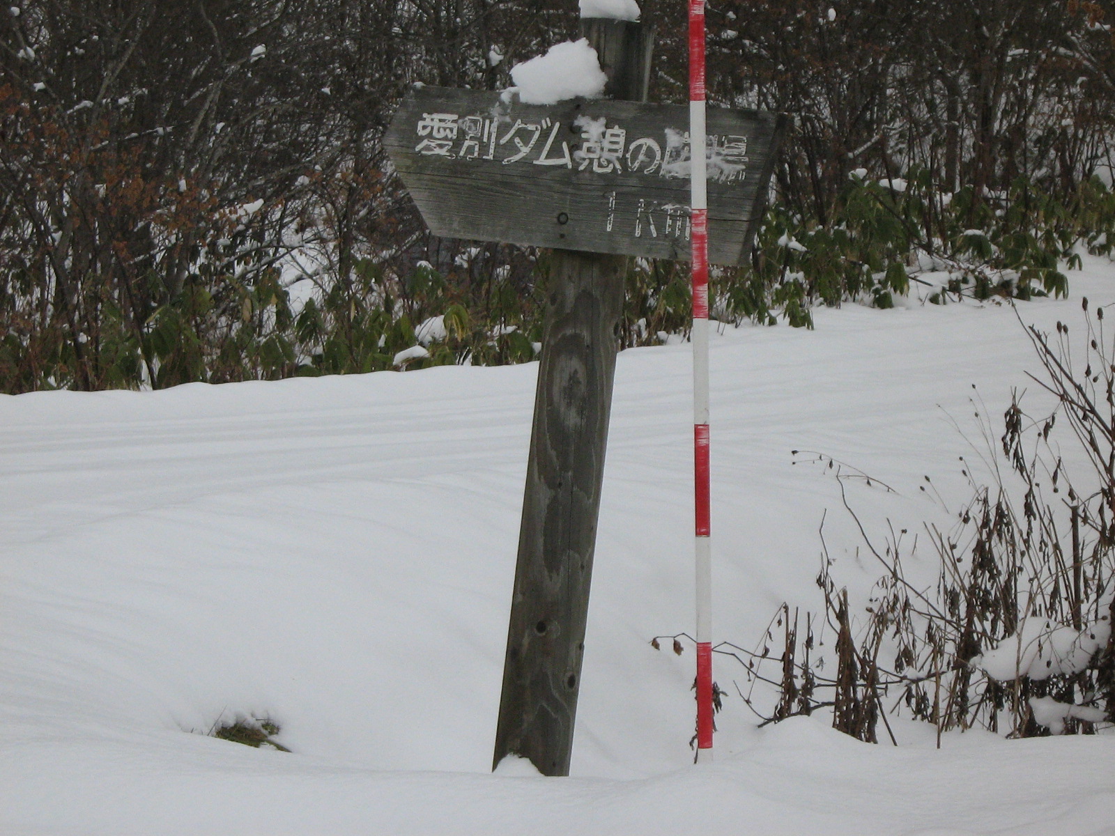 ���ʃ_���������̍L��@���������ʉ����