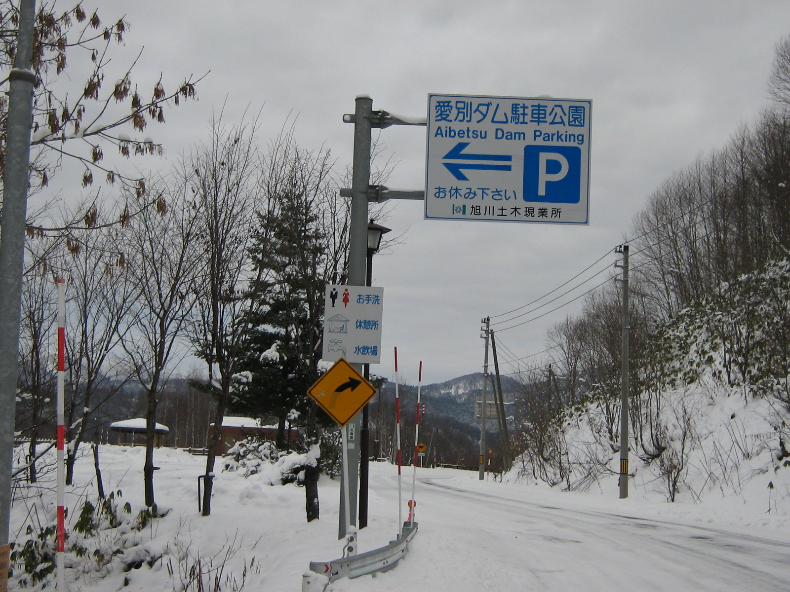 ���ʃ_�����Ԍ���