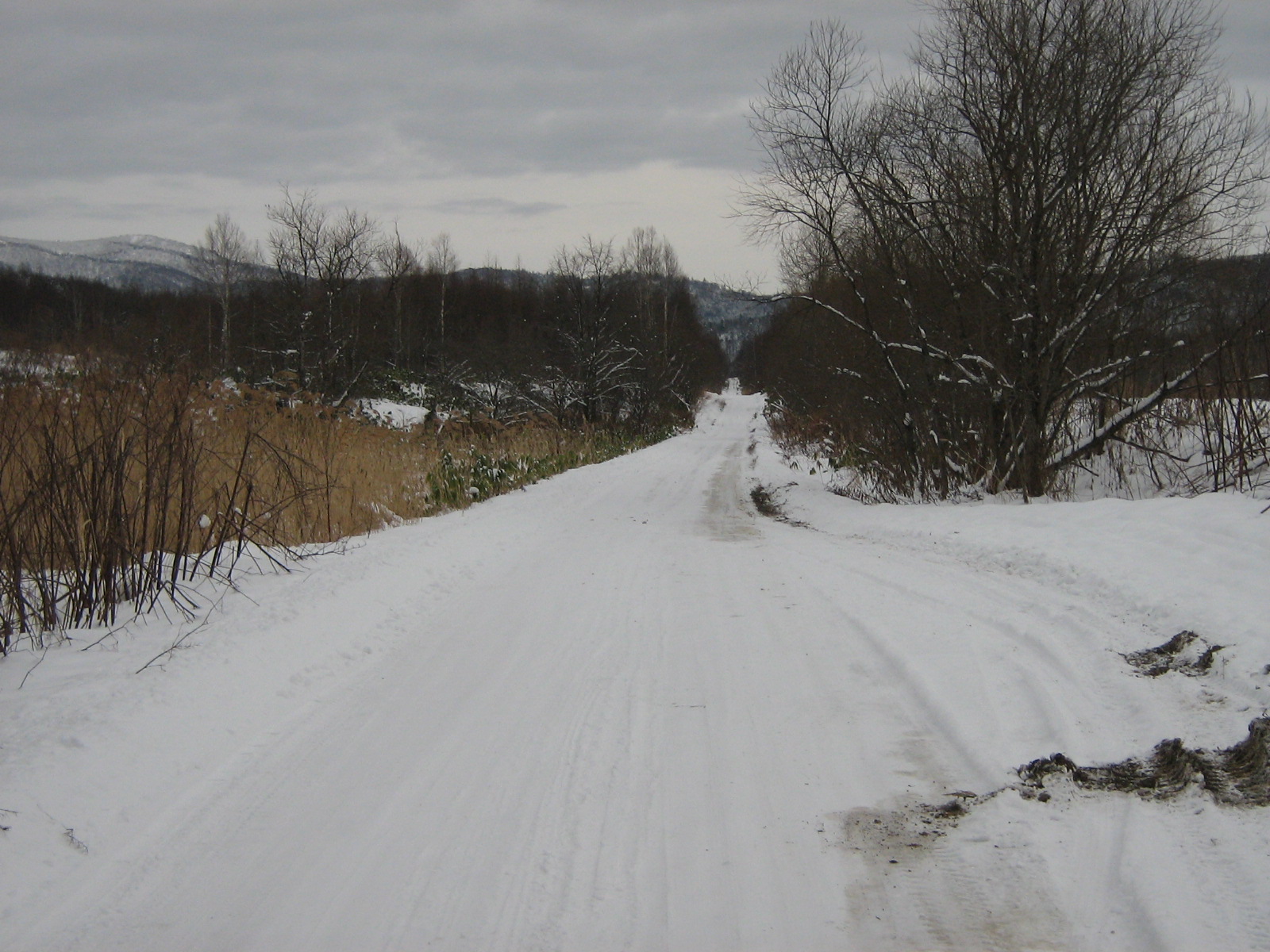 �����ʗѓ�