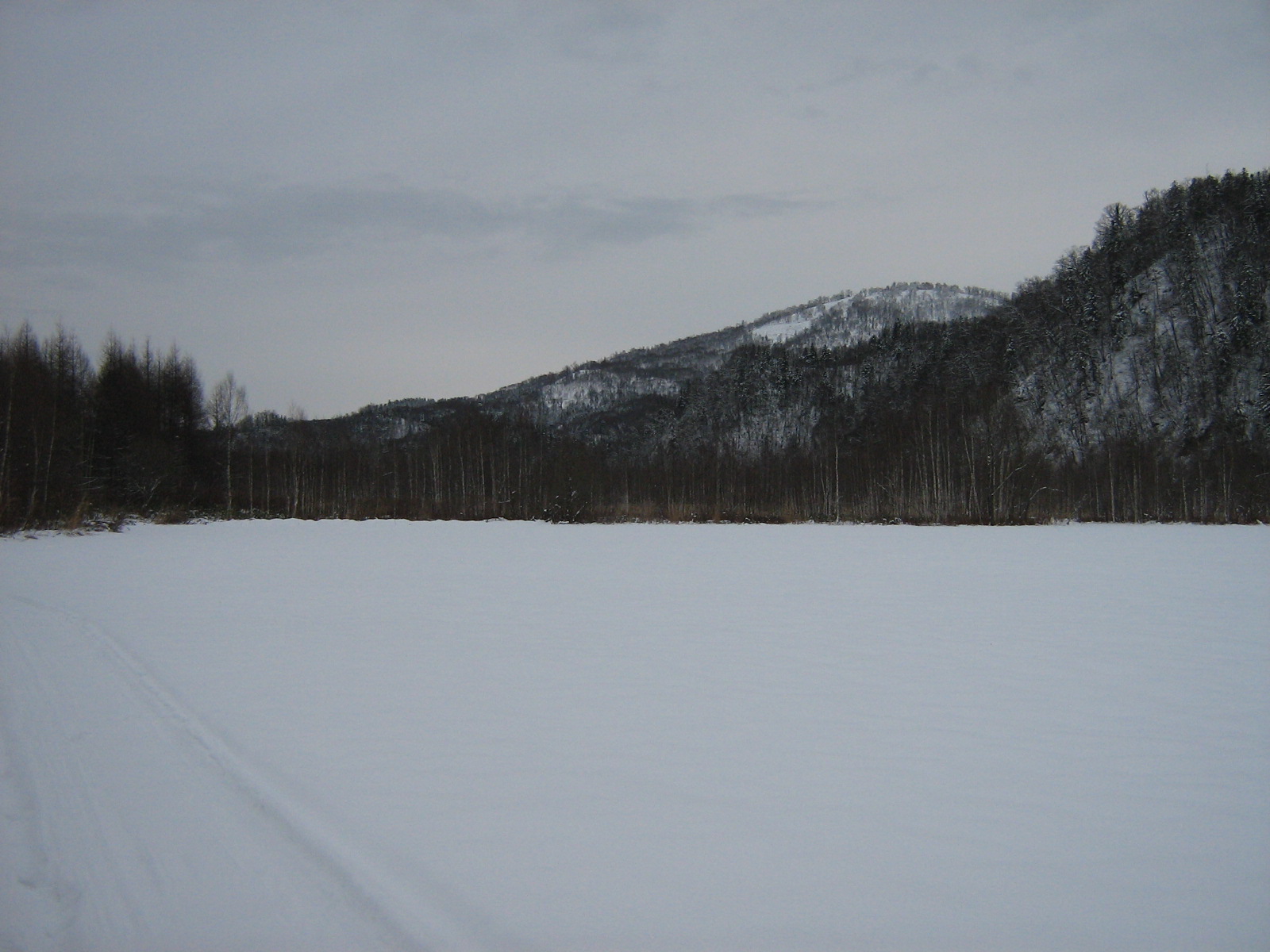 ���Ă̈��R�̏W��