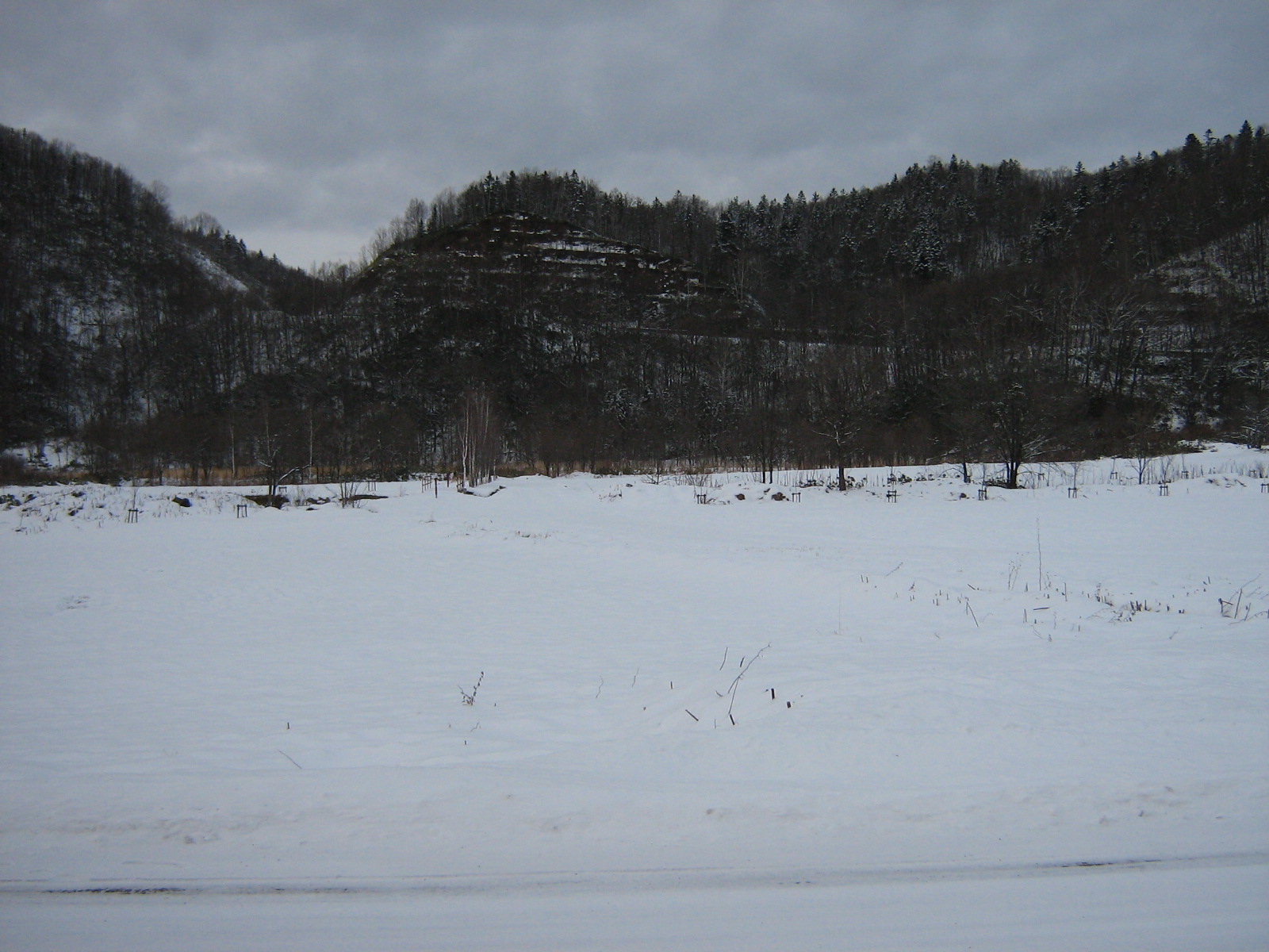 ���Ă̈��R�̏W��