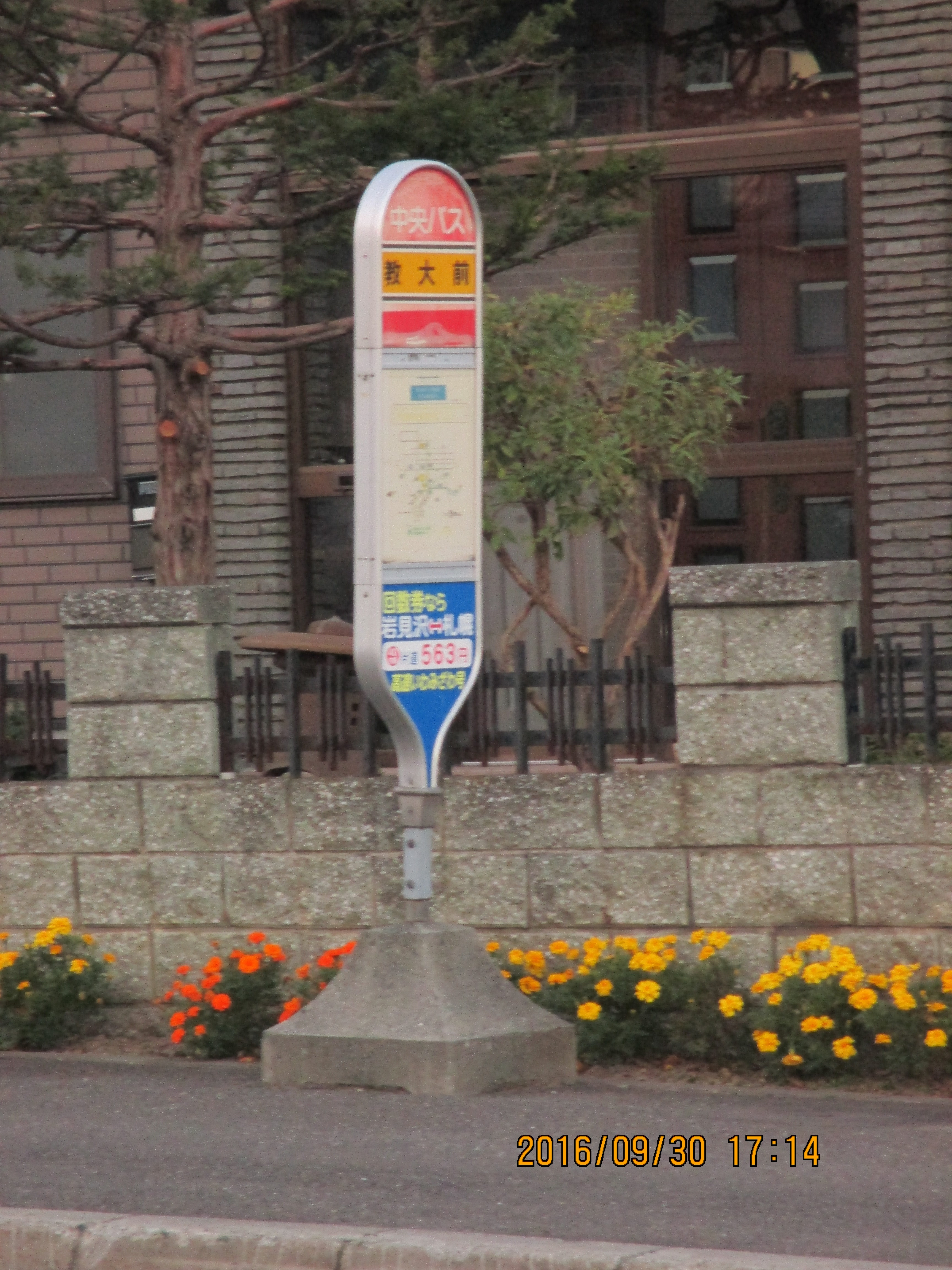 �H���o�X�◯��