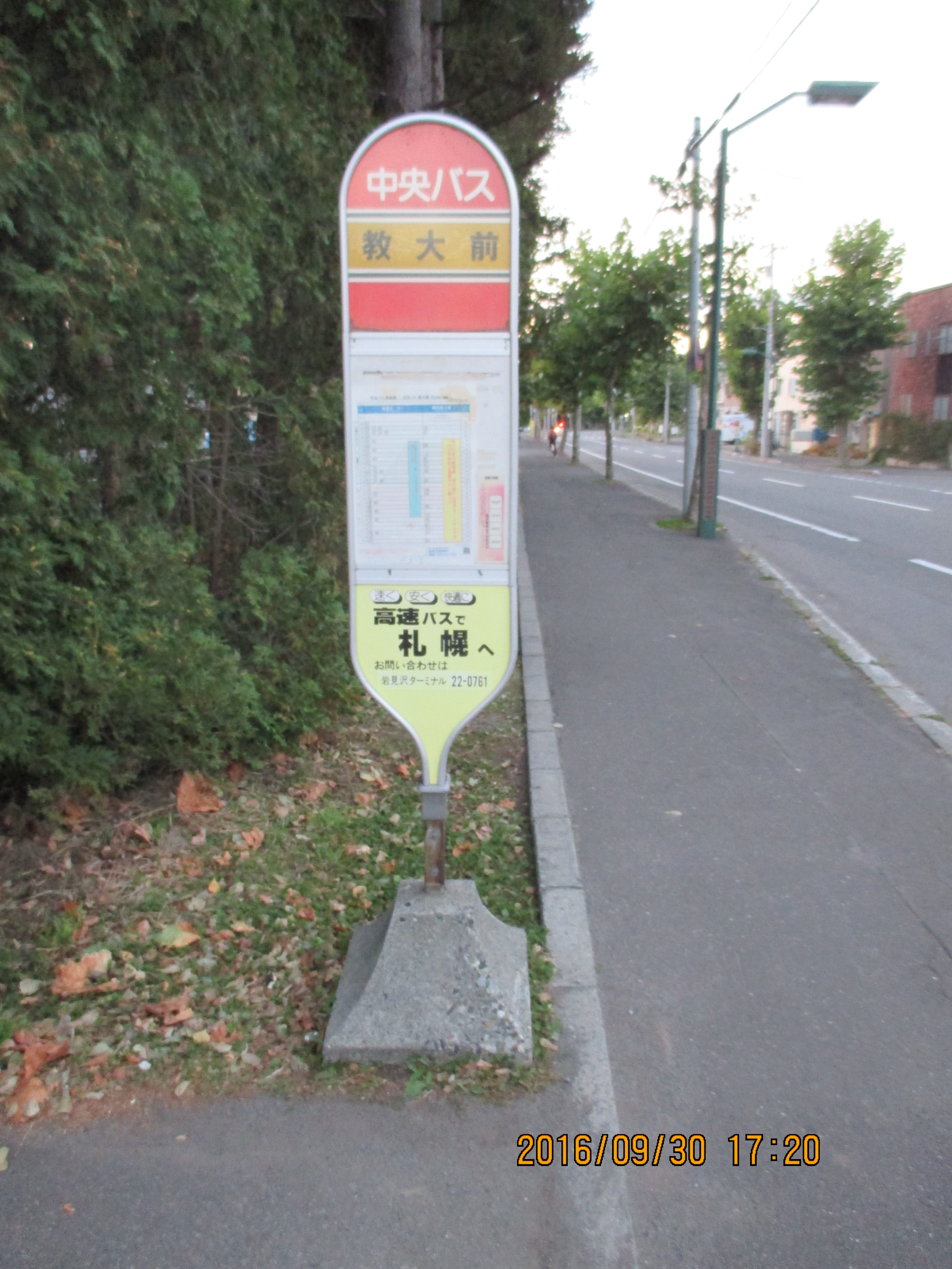 �H���o�X�◯��