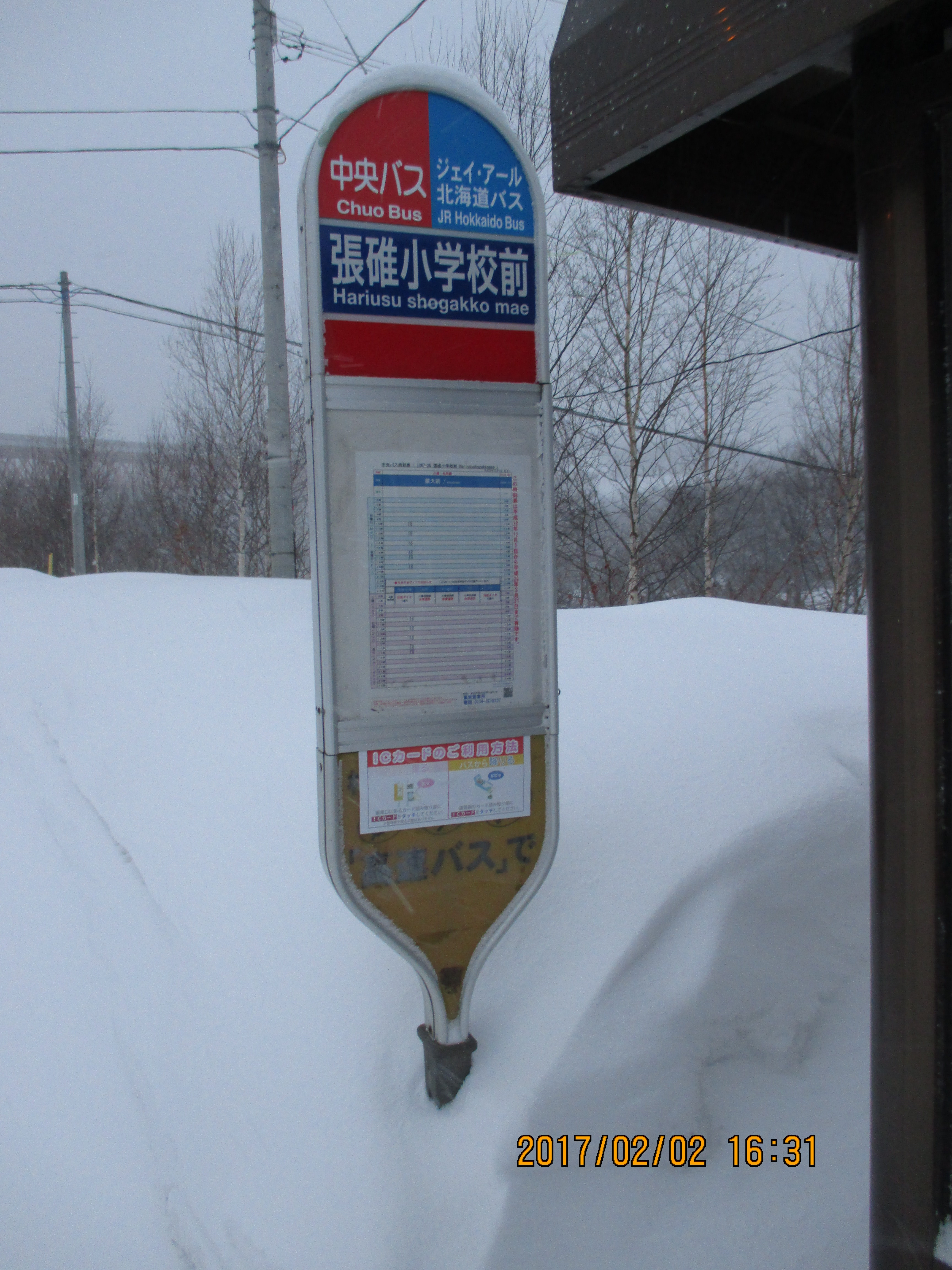 ���O���w�Z�O�@JR�k�C���o�X���p