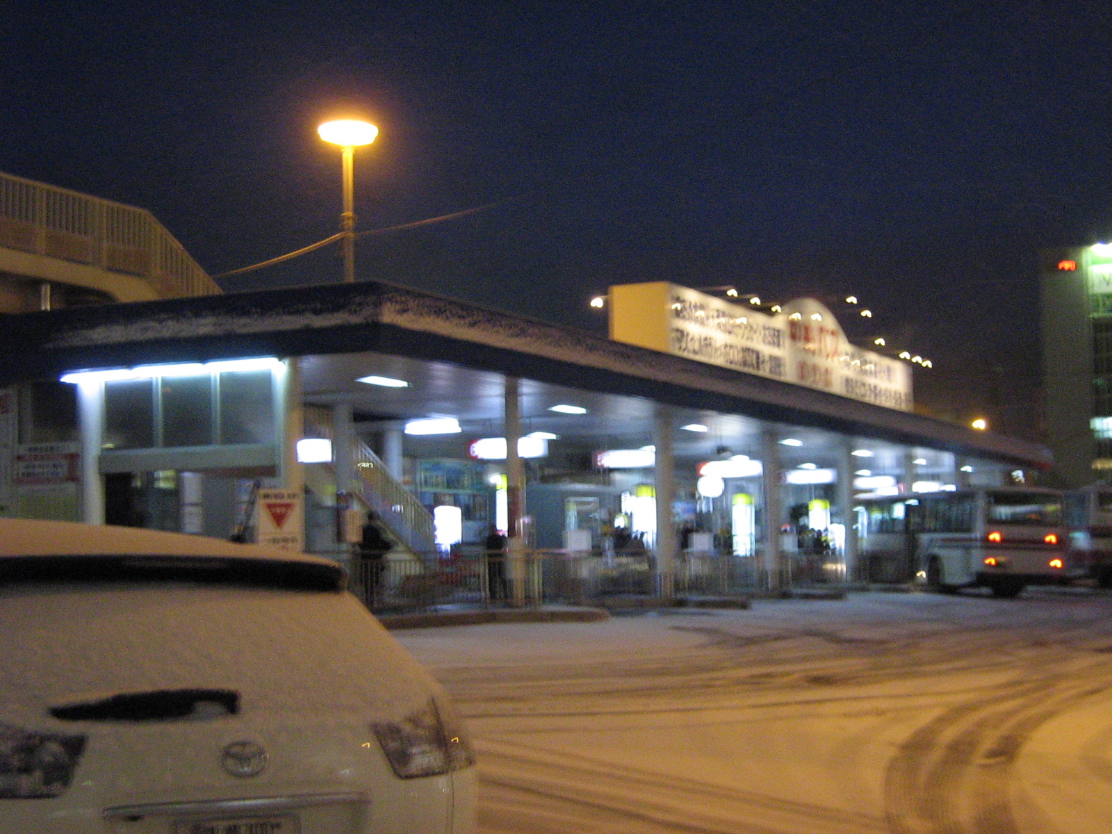 ���M�w�O�^�[�~�i��