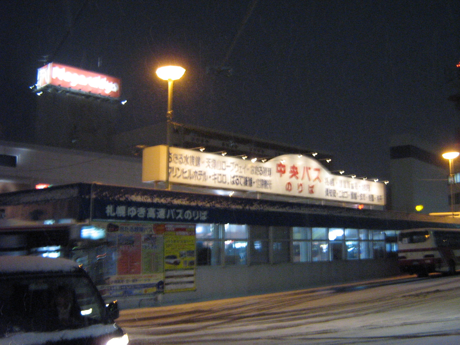 ���M�w�O�^�[�~�i��