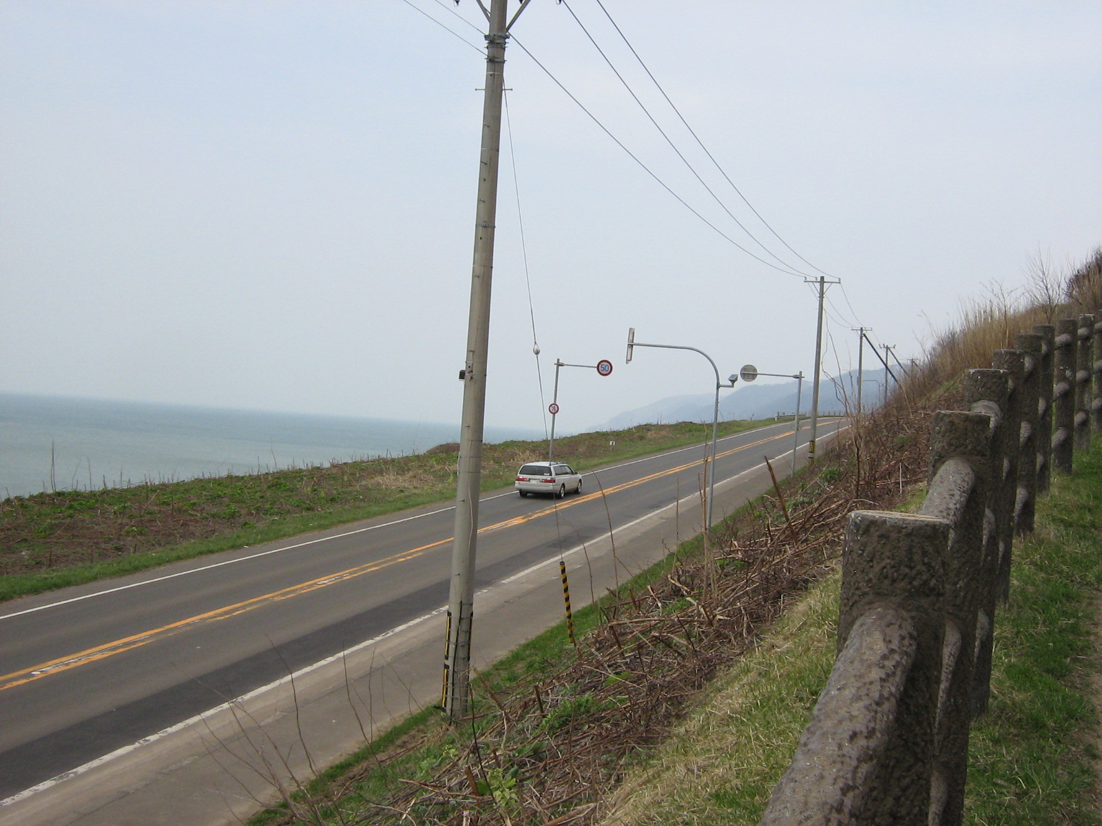 ����231����