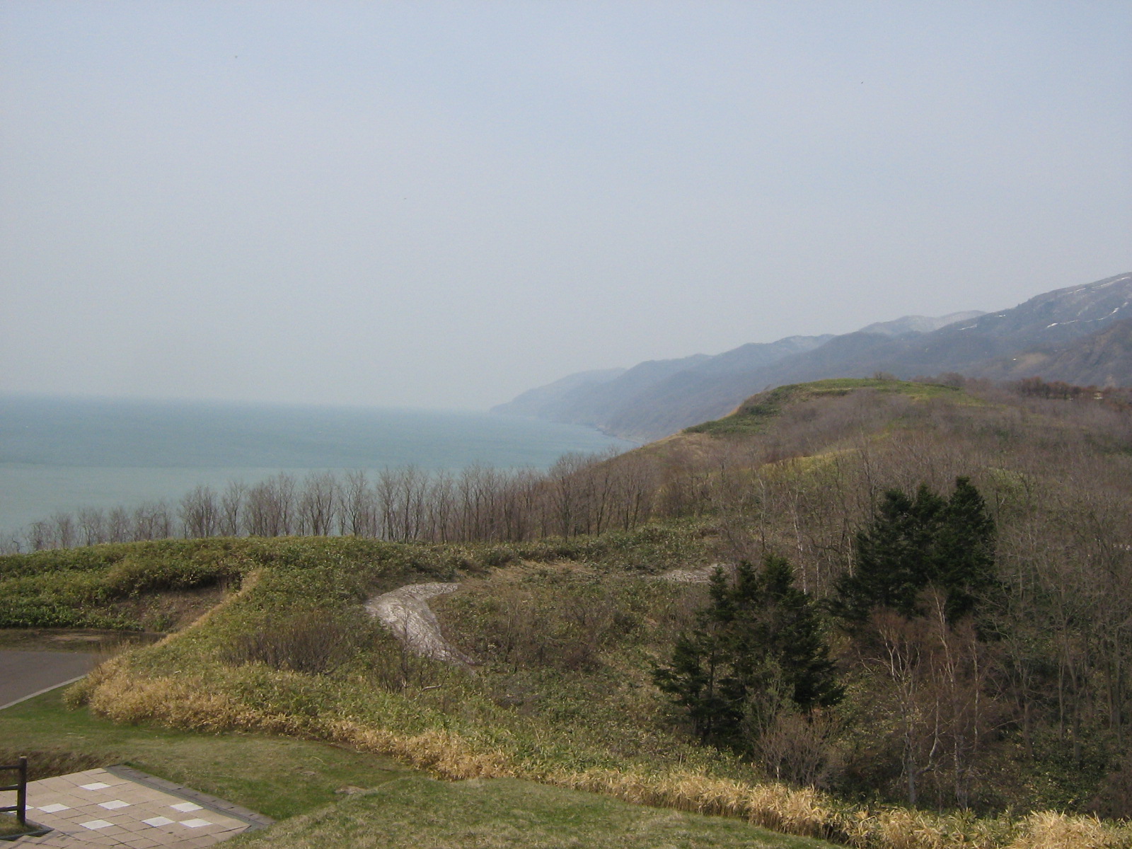 ���l�̐��n�W�]�䂩��