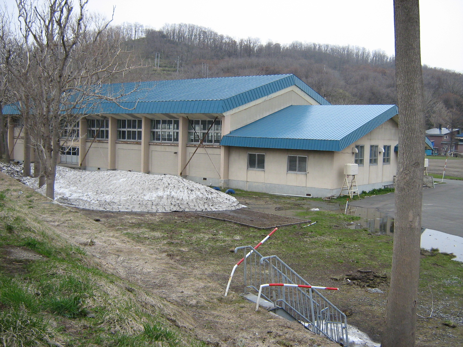 ���c���w�Z�̈��