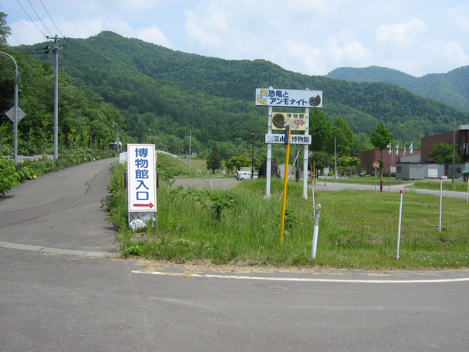 �O�}�s��������