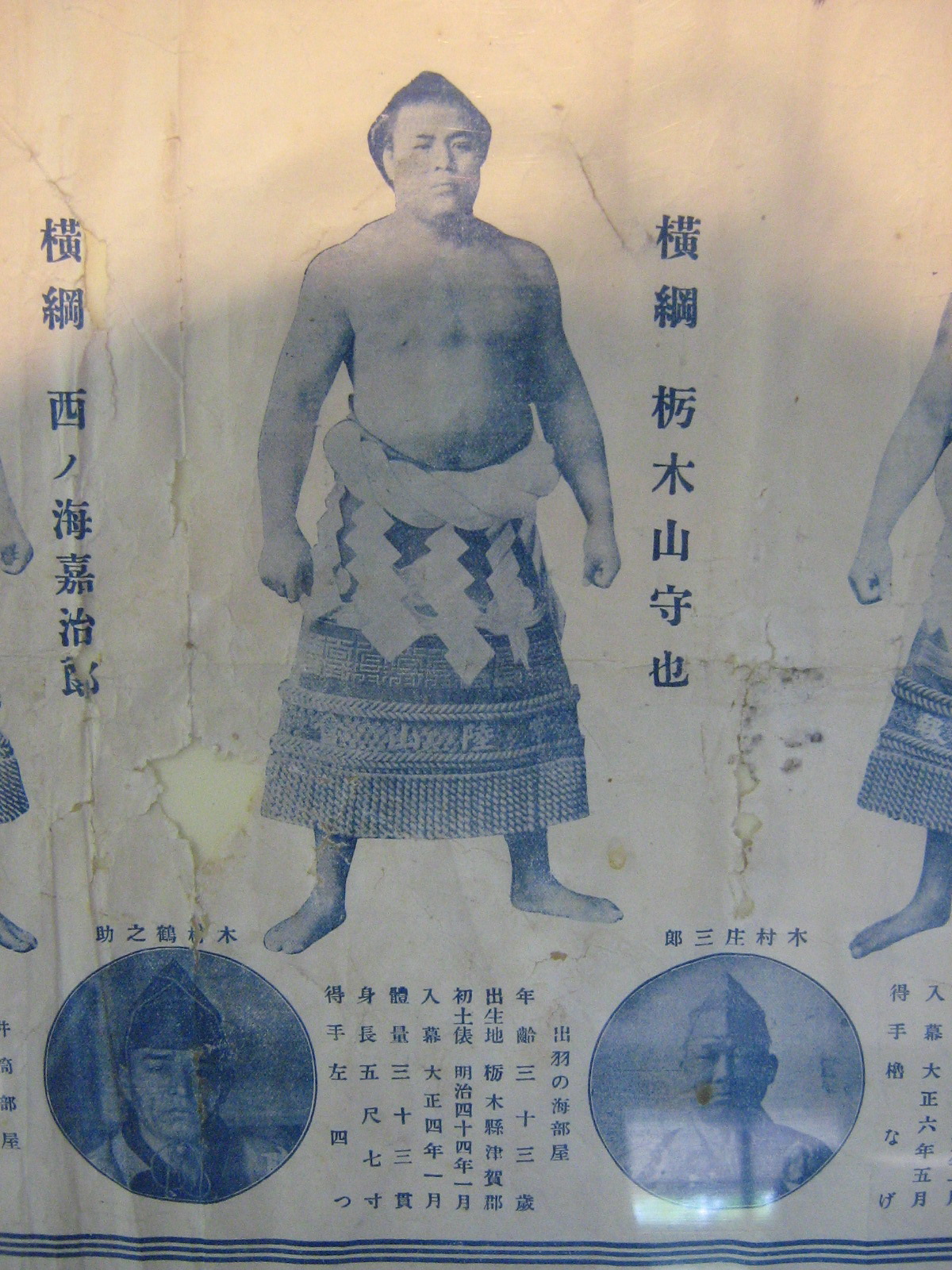 ���j�Ȗ؎R���