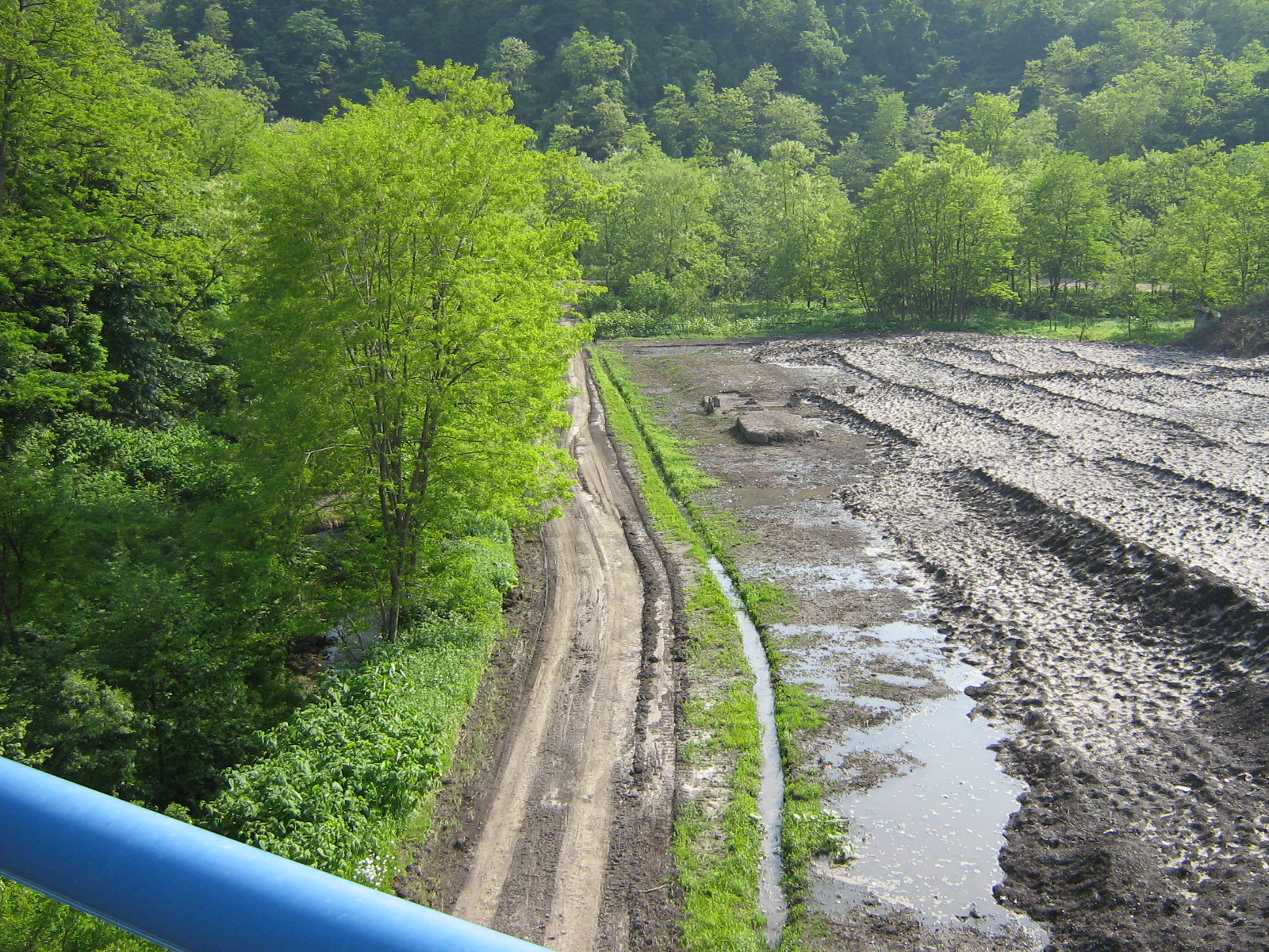 �y�����Ւn