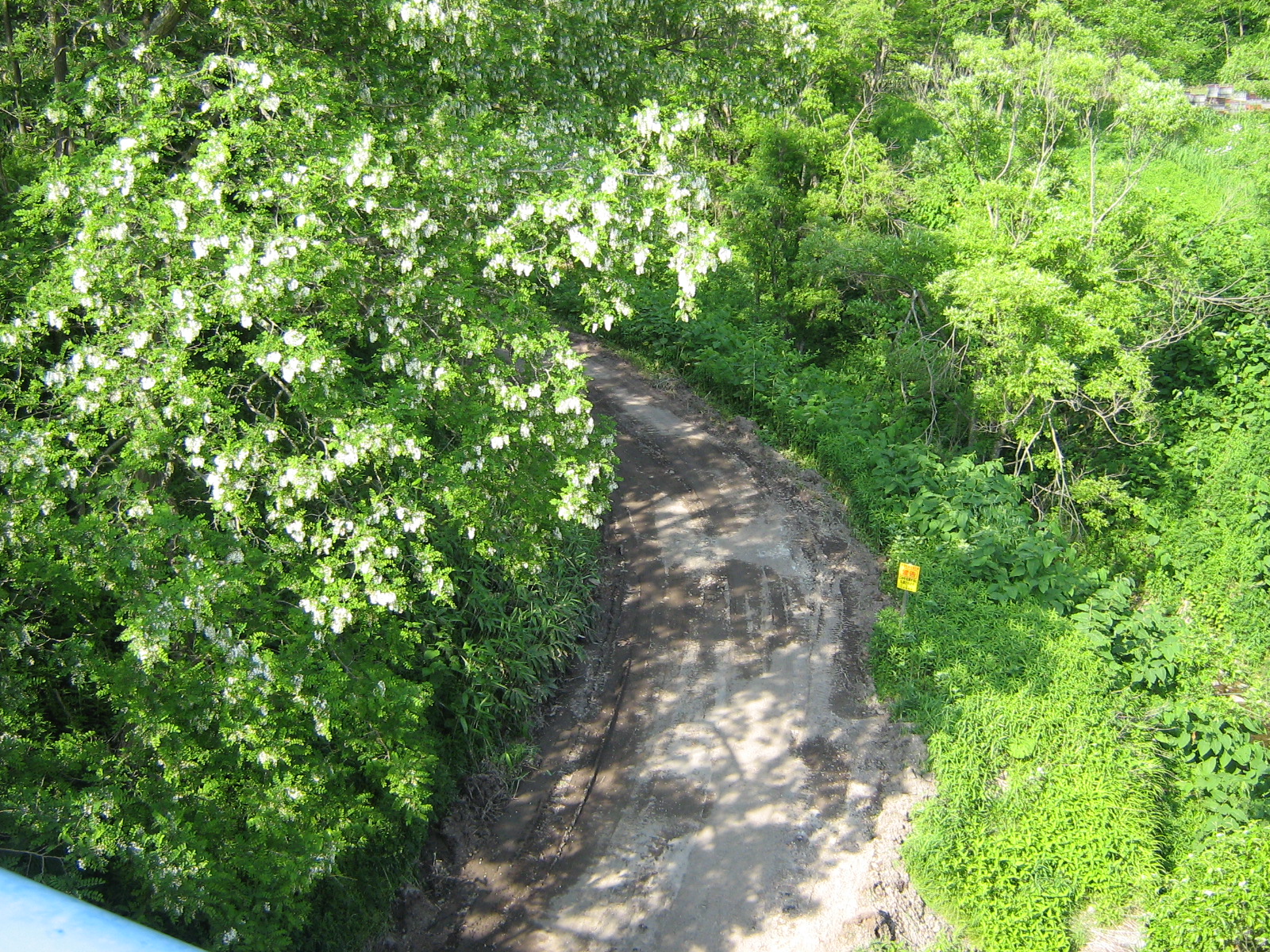 �y���Y�z����