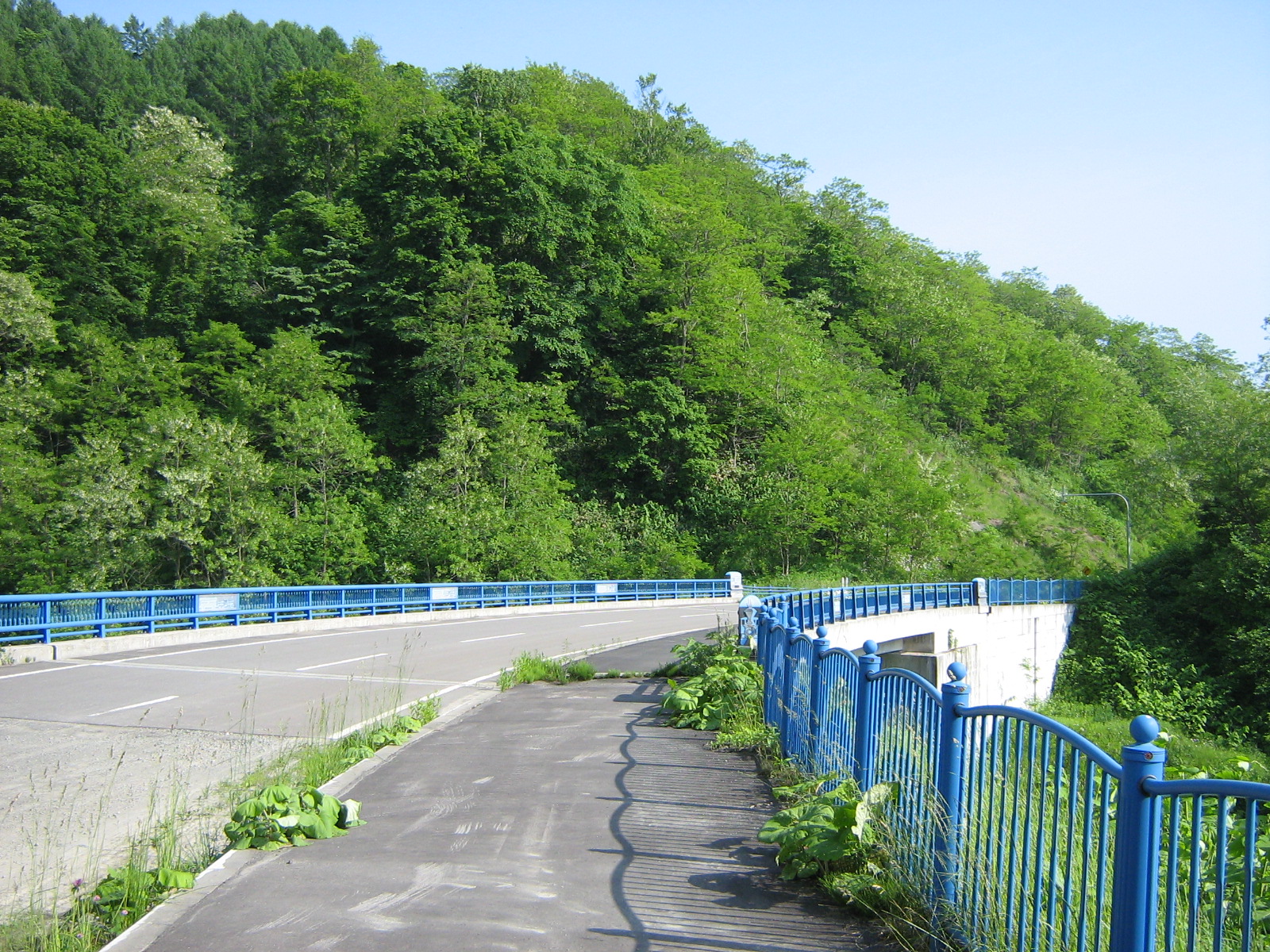 �y���Y�z�ւ̓�