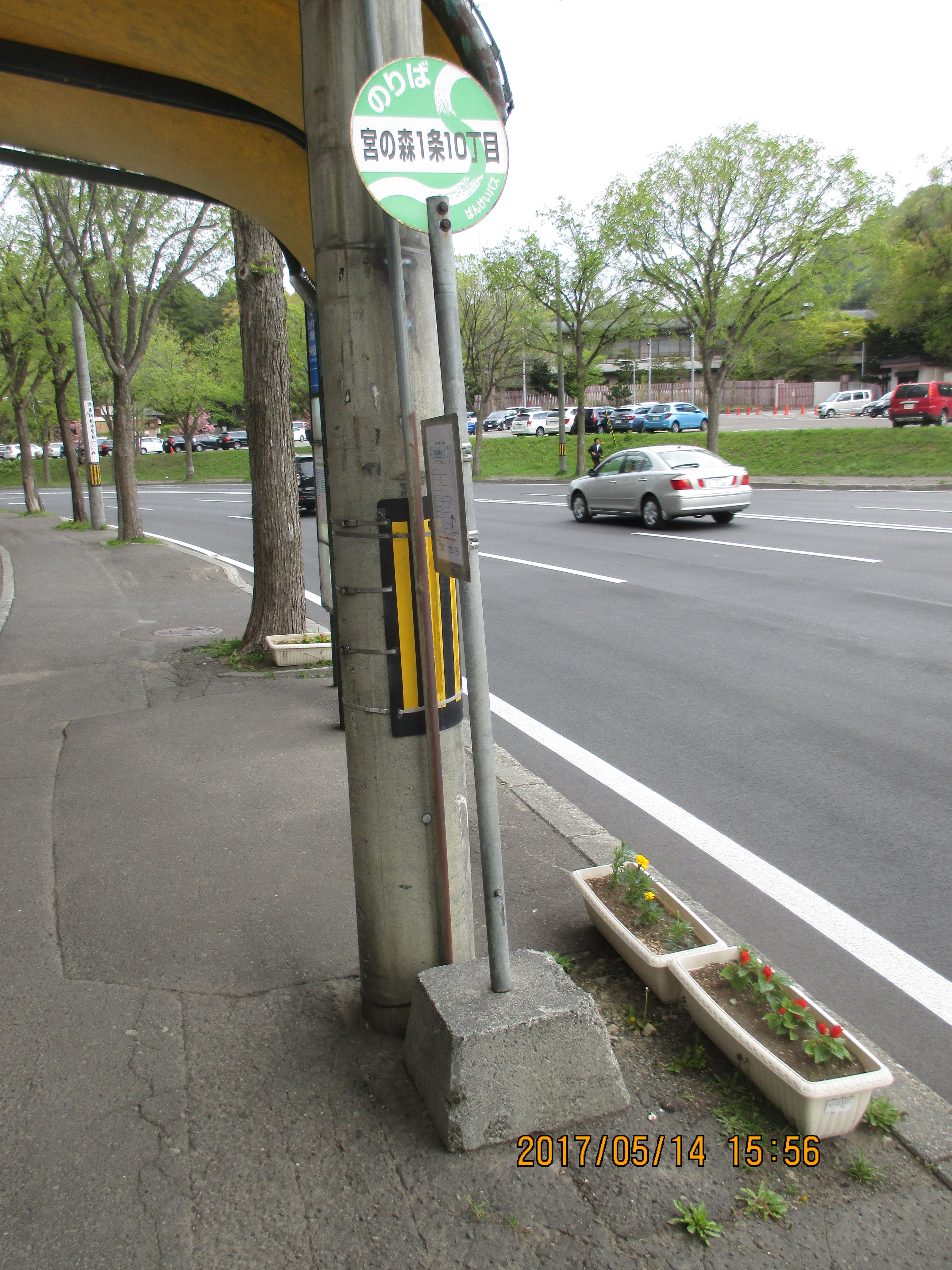 �{�̐X�P��10����(�~�R�����w���ʁj