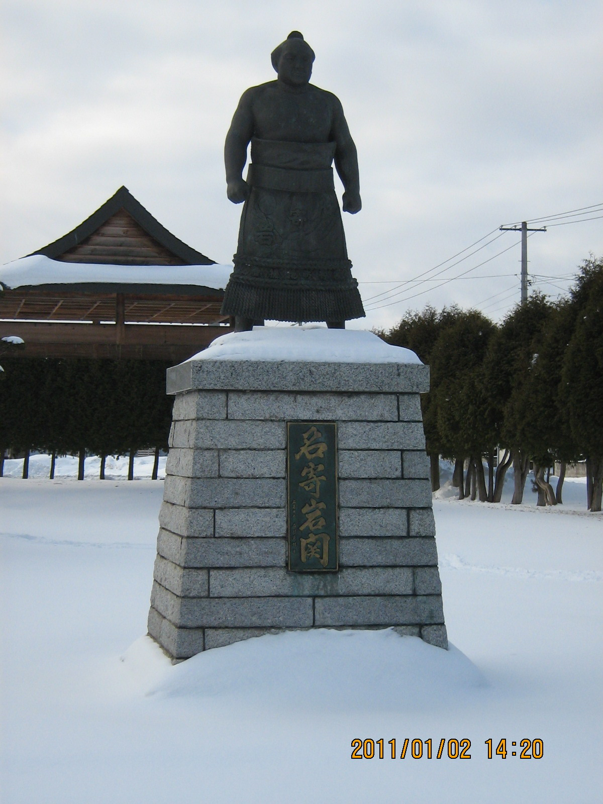 ����⓺��