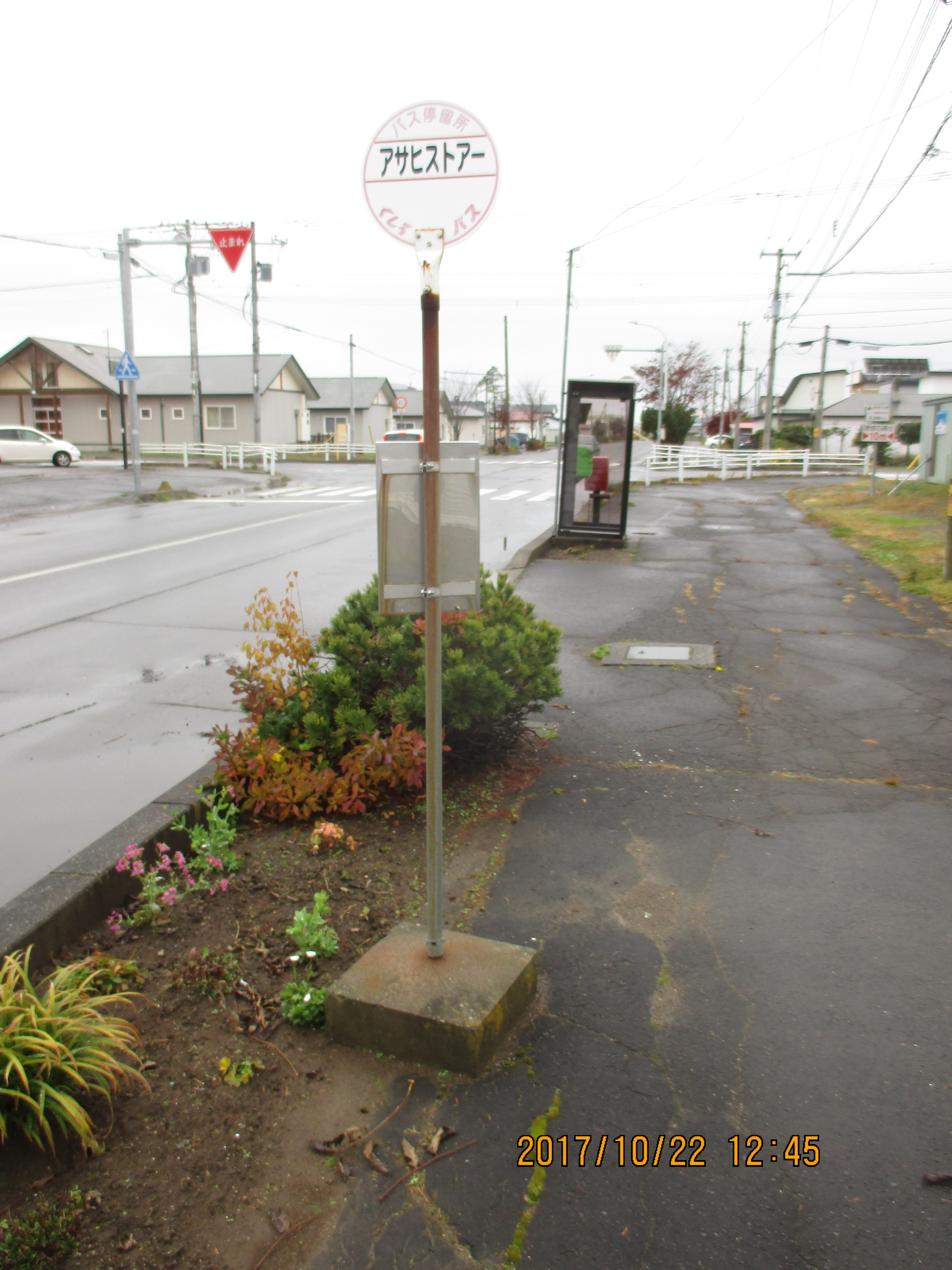 �A�T�q�X�g�A�[