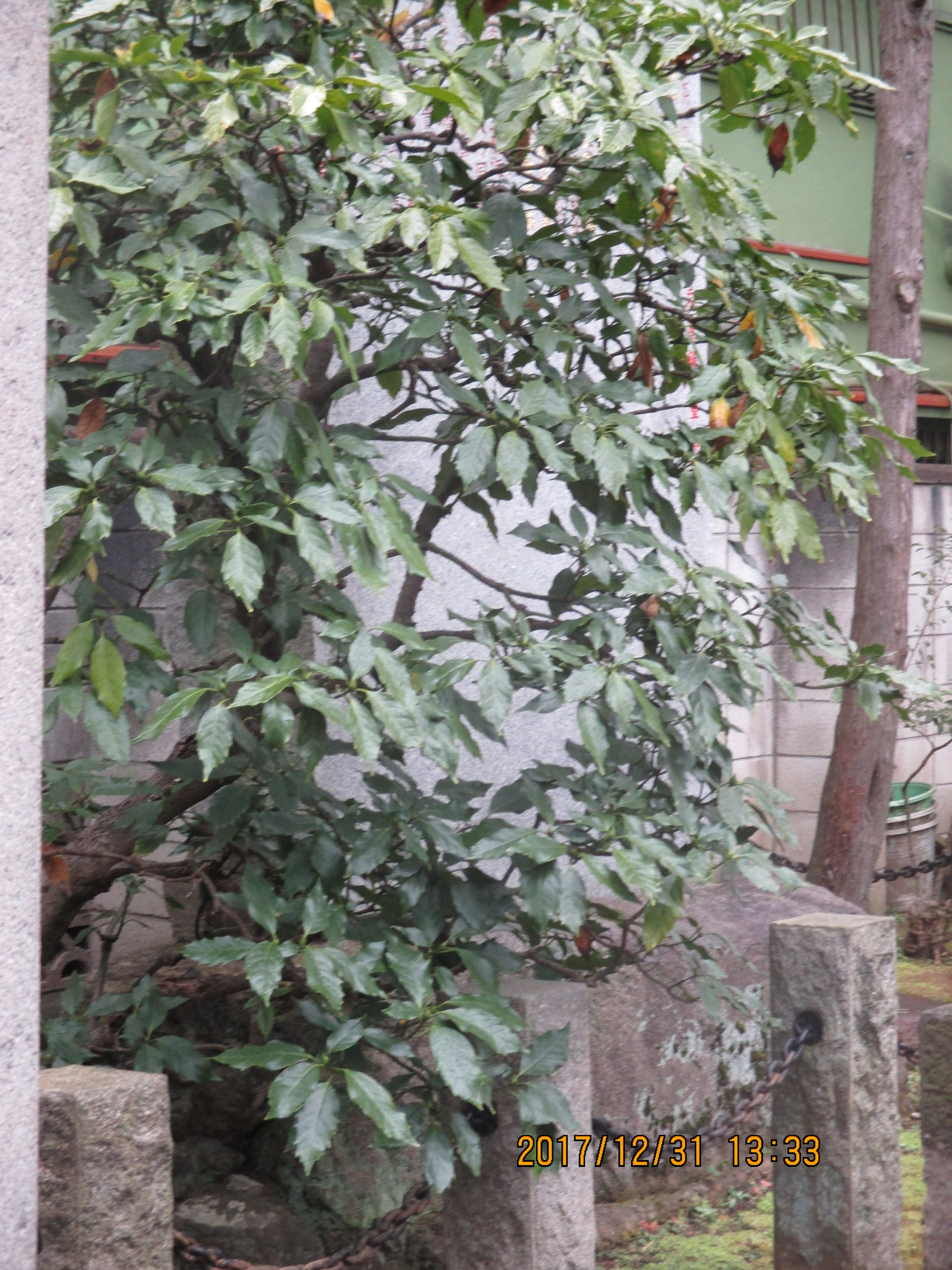 �쌩�h�I�_��