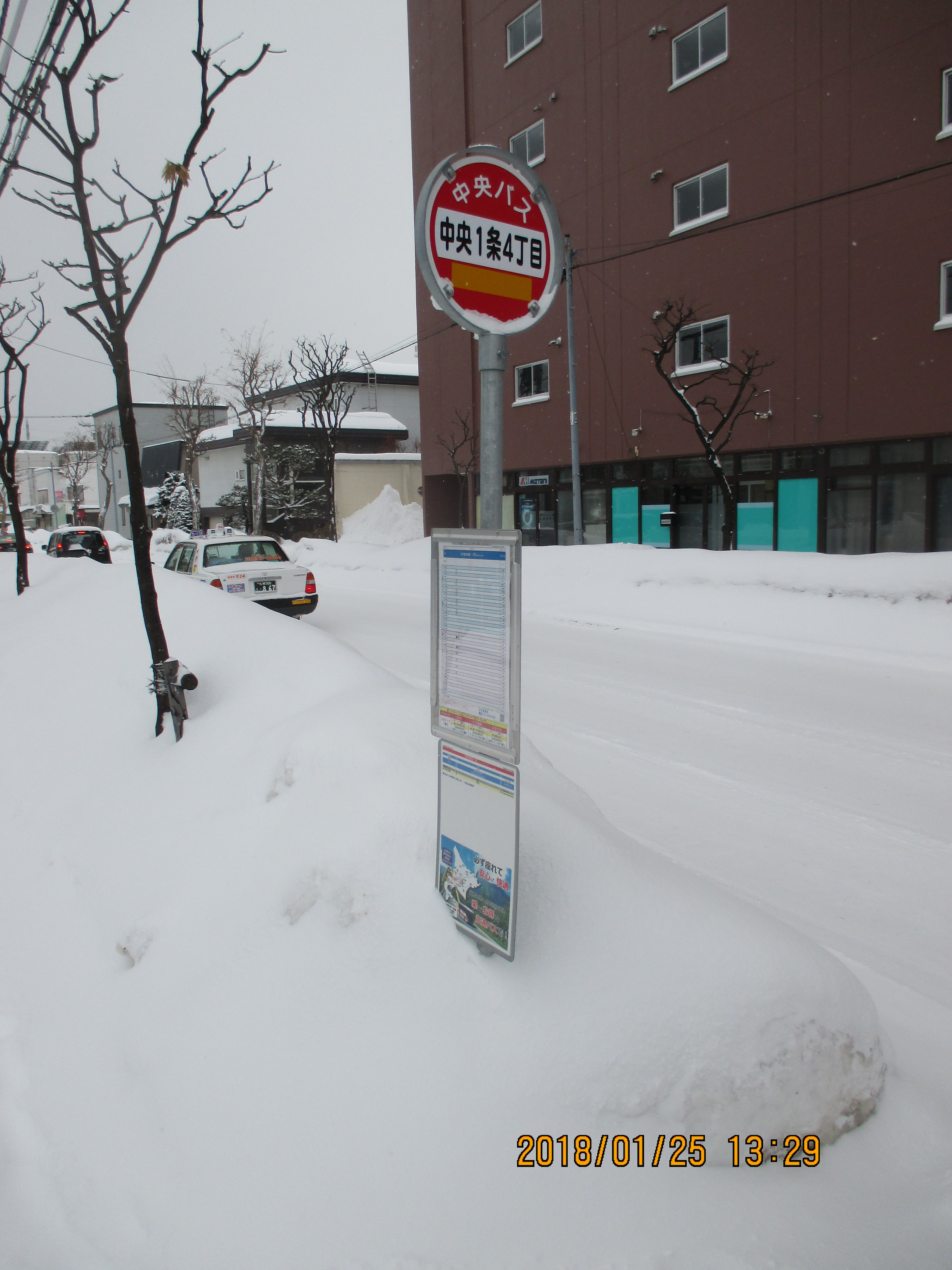 �����P���S����