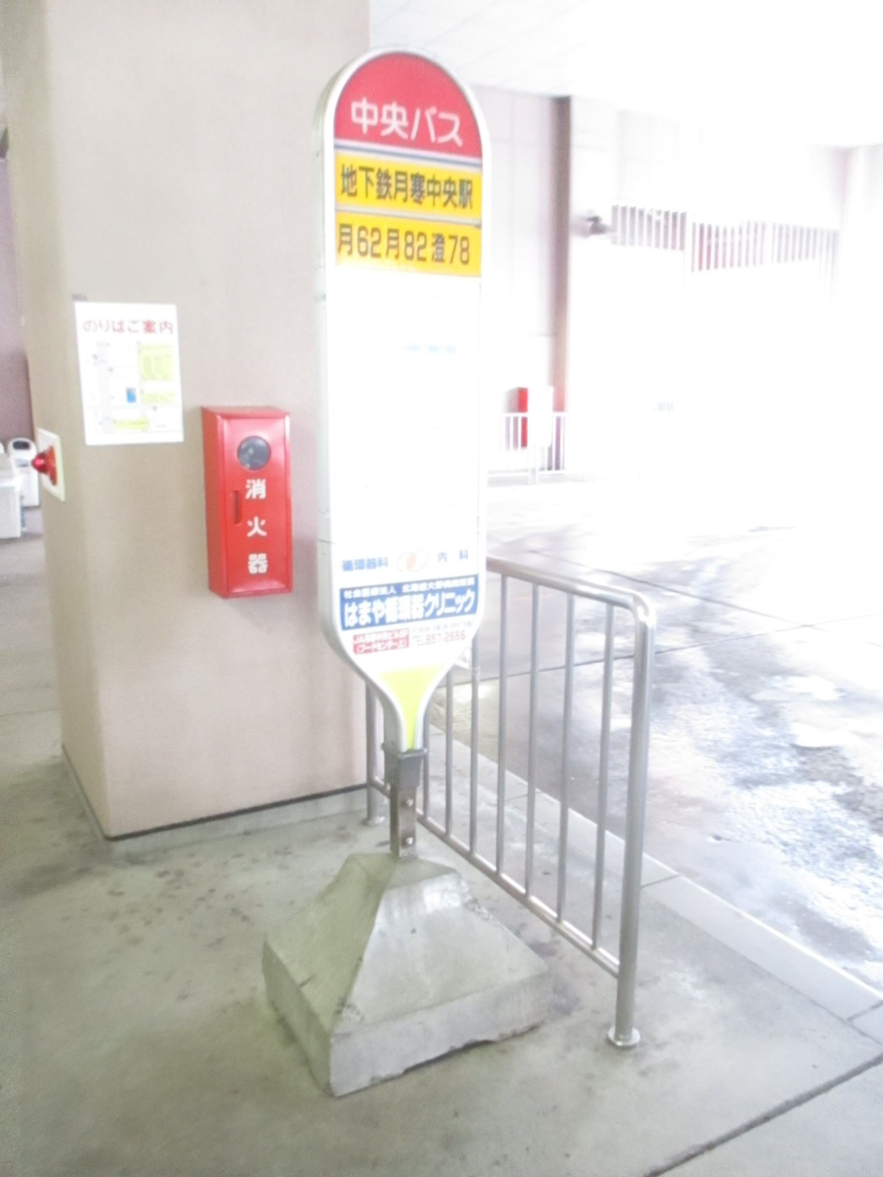 �n���S���������w