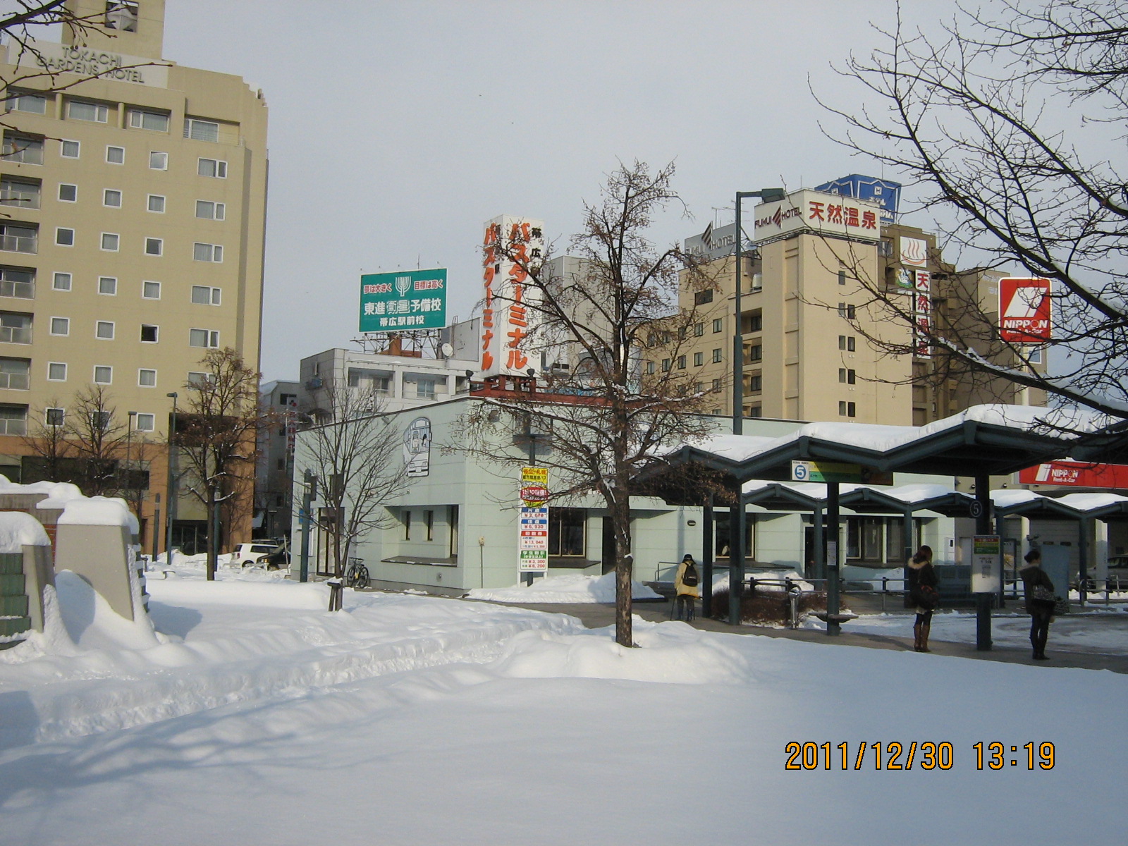 �эL�w�O�^�[�~�i��