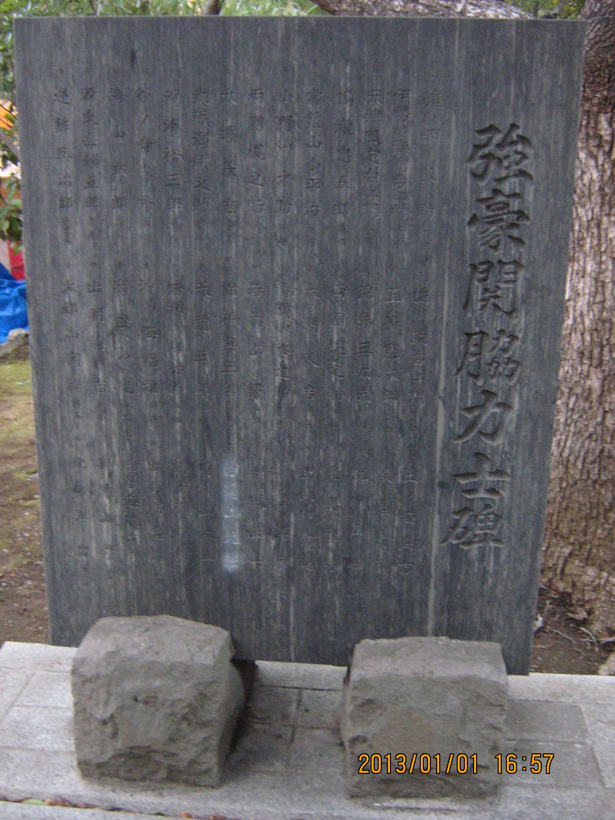 �����֘e�͎m��