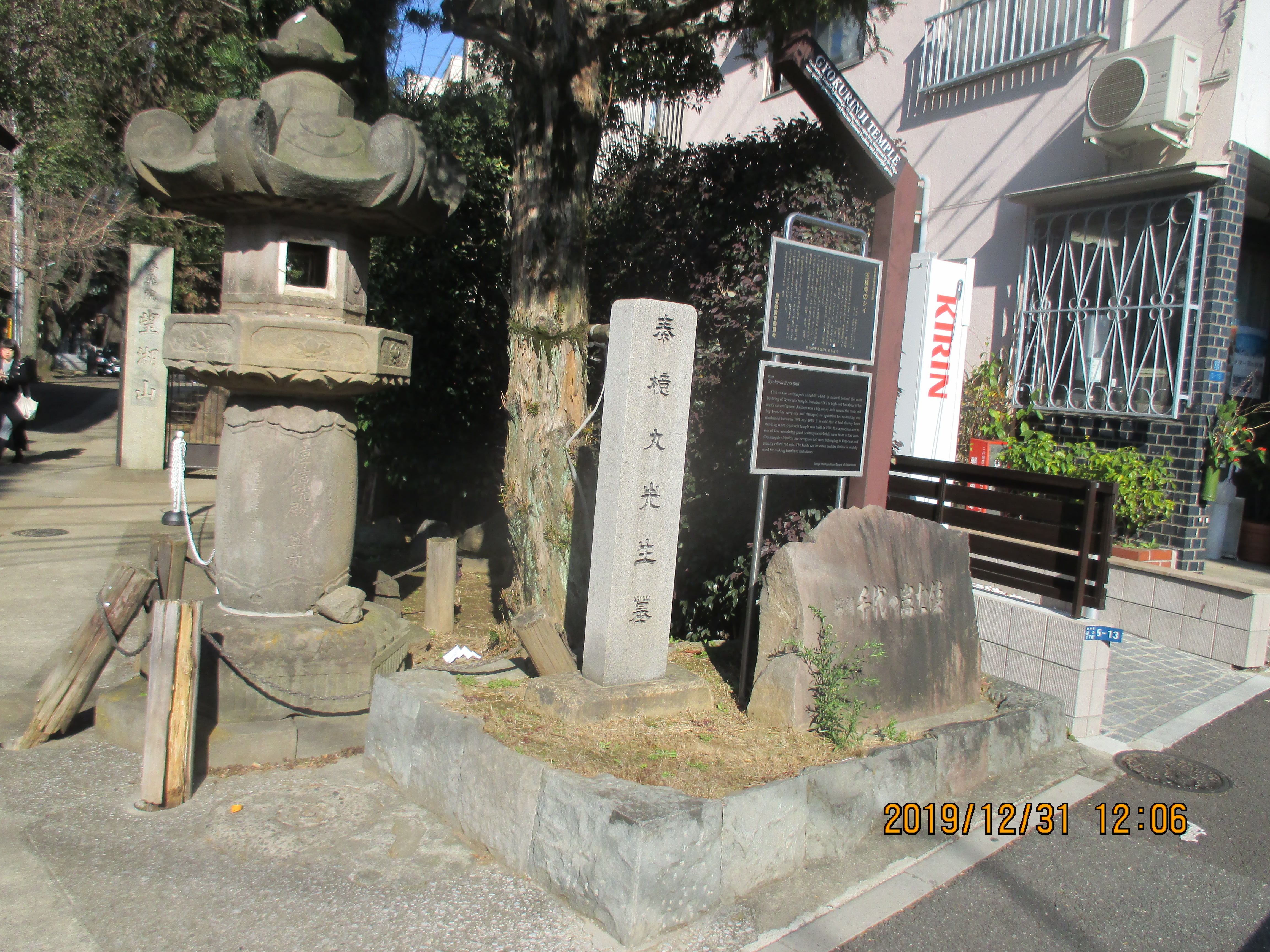 �ʗю�����