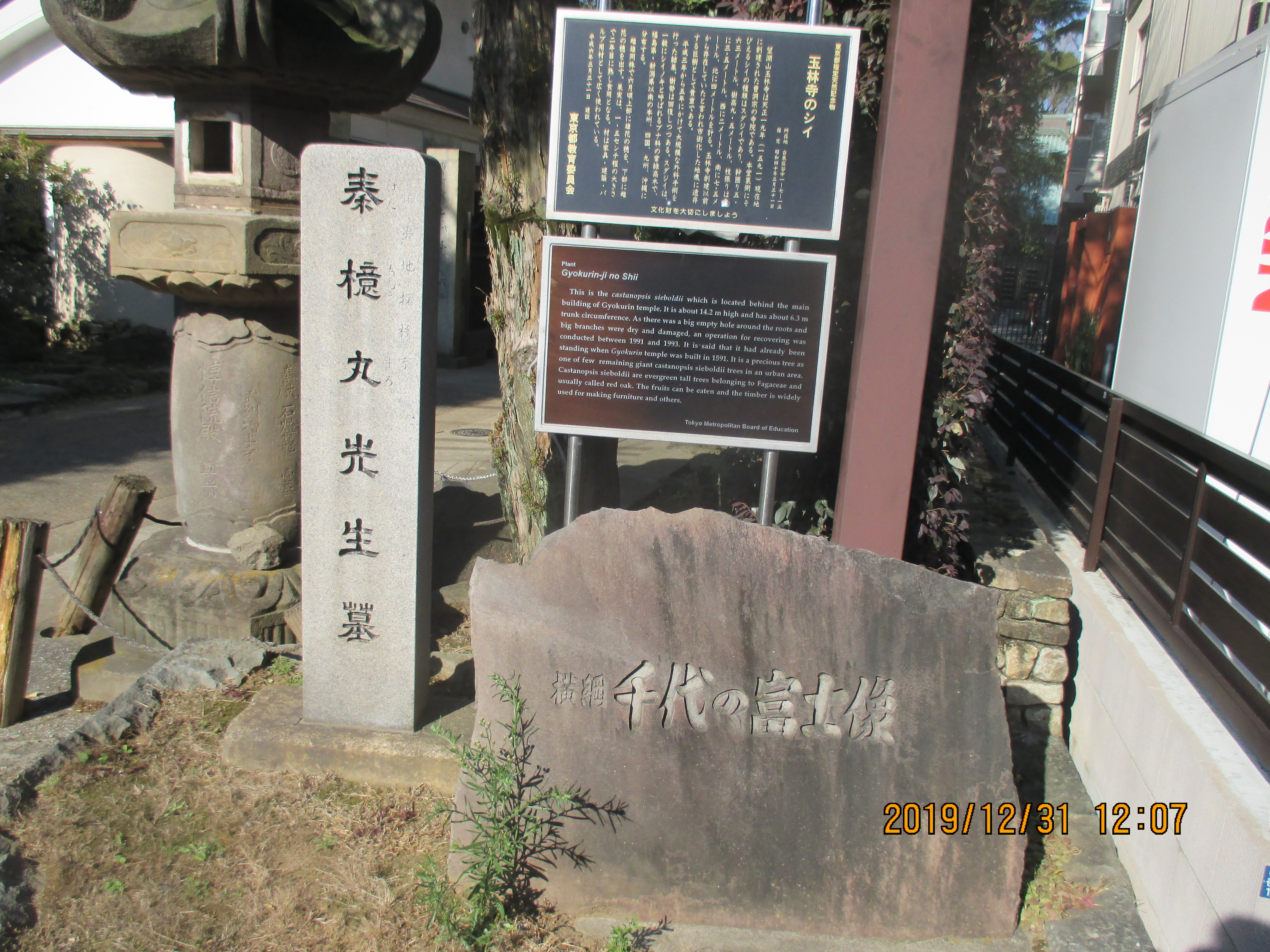 �ʗю�����