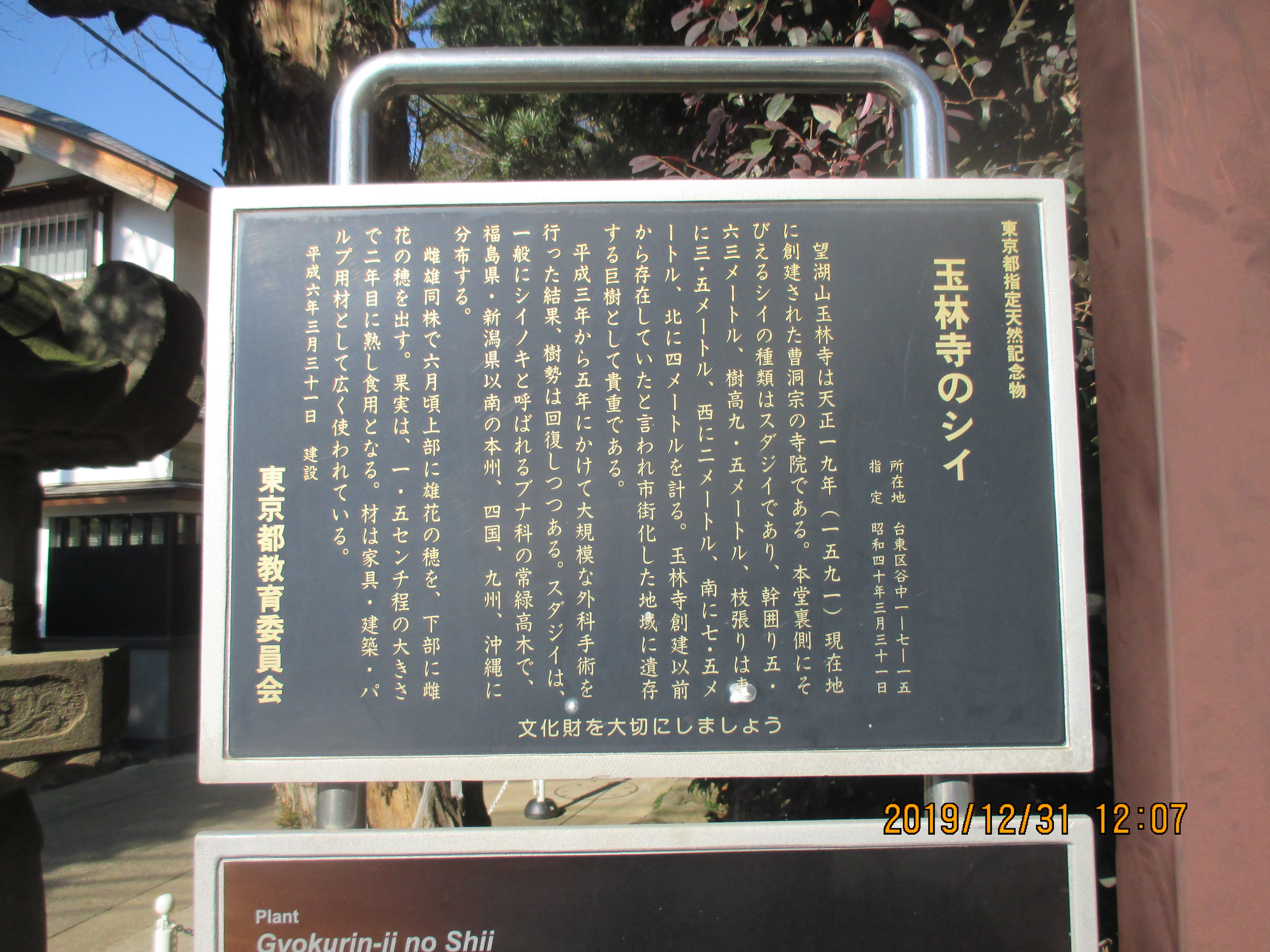 �ʗю��̃V�C