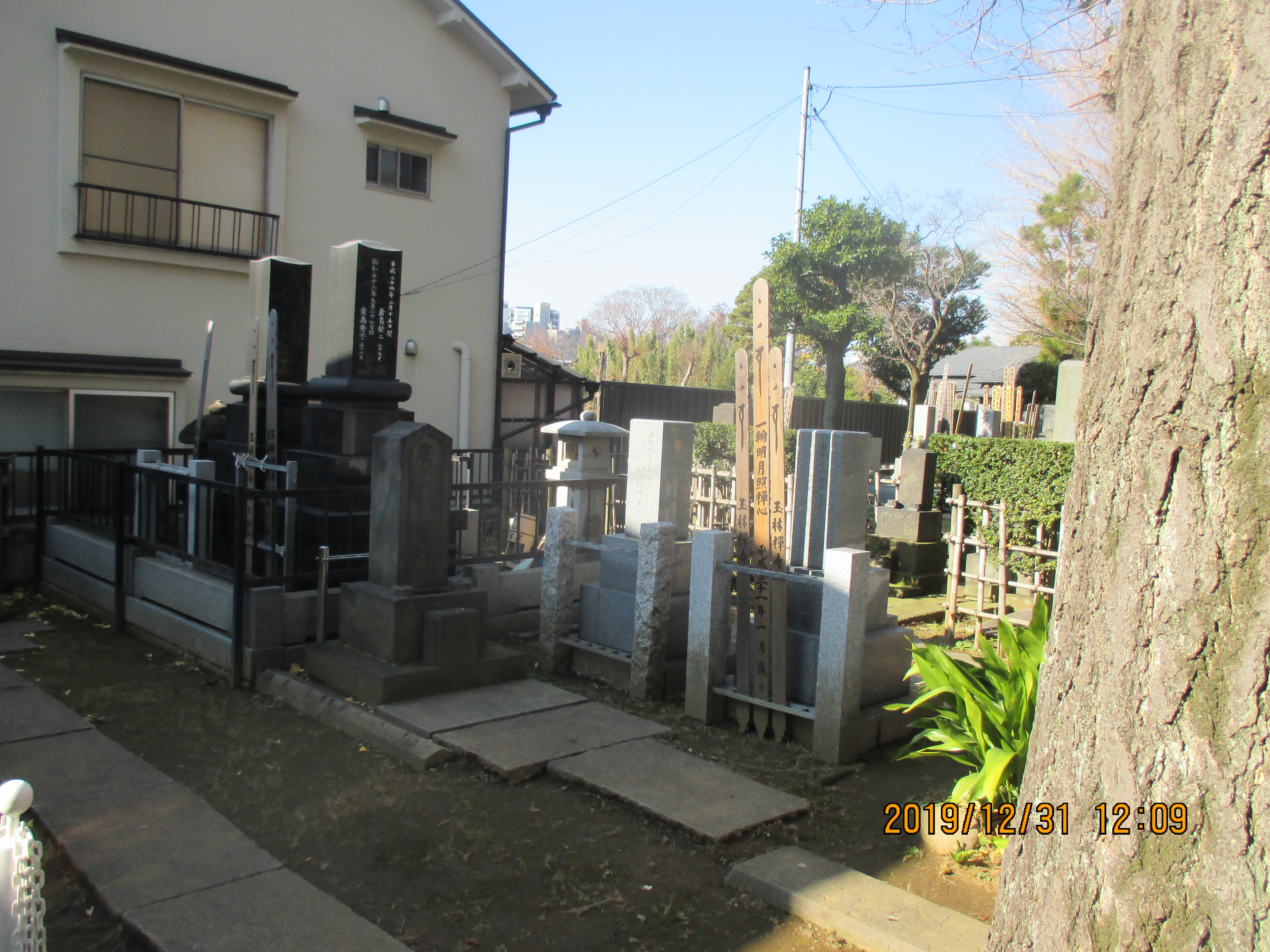 �ʗю��̑�X�̐�c