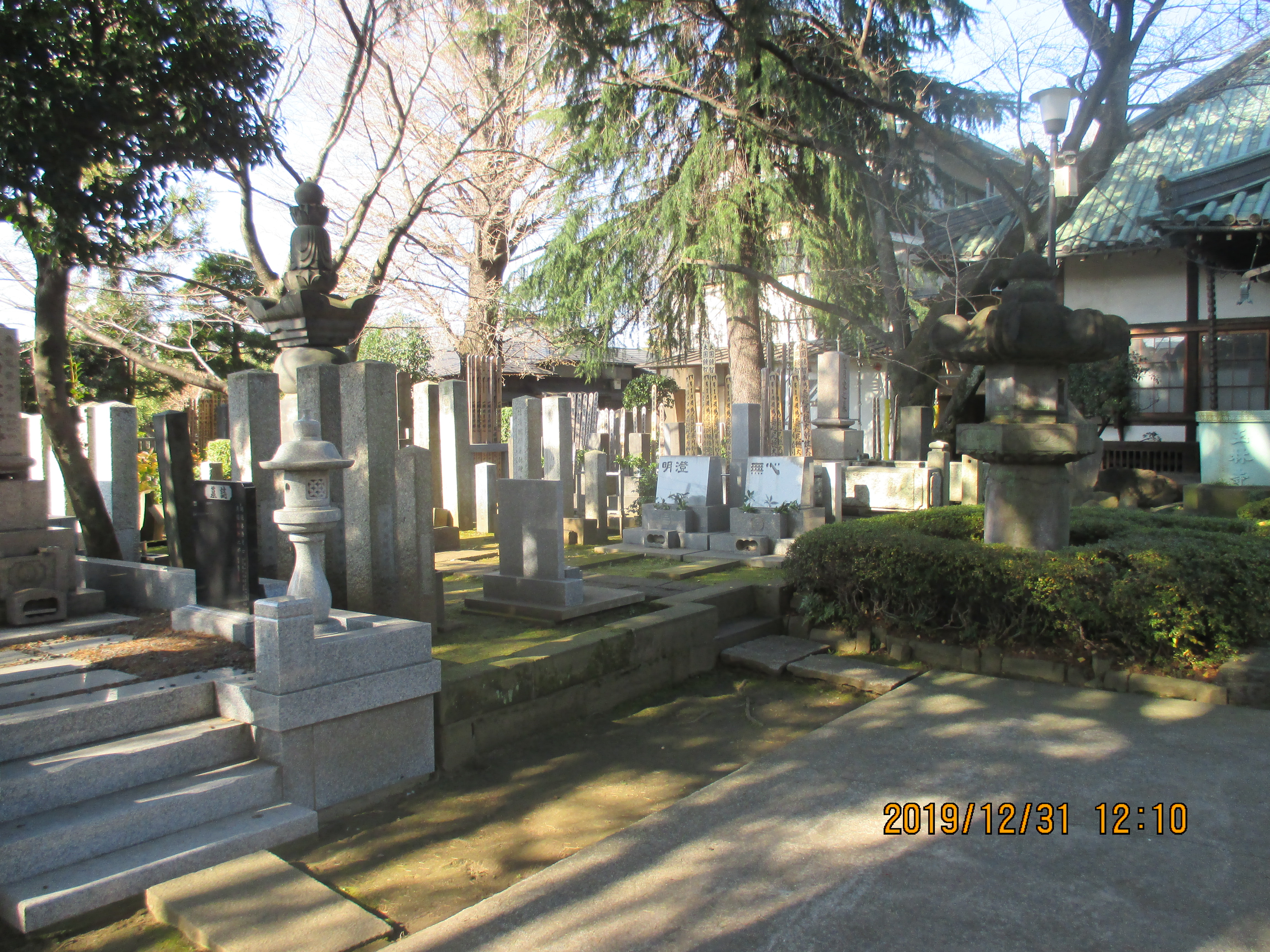 �ʗю��̑�X�̐�c