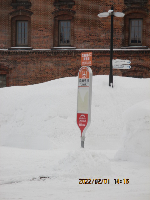 �T�b�|���r�[����