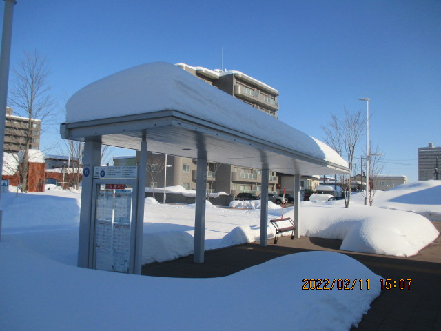 ��y�w���