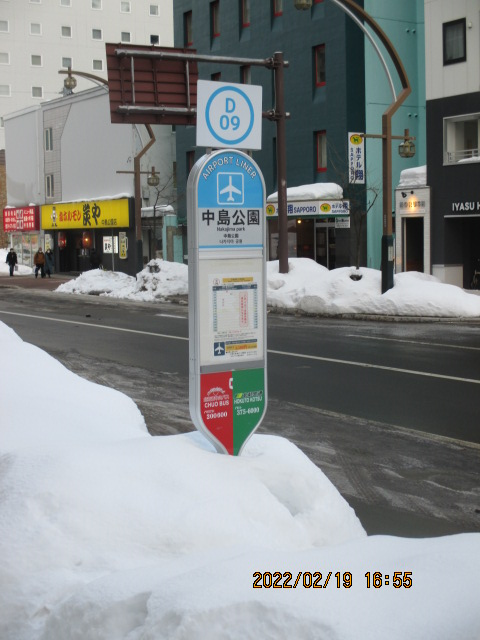 �����o�X���p