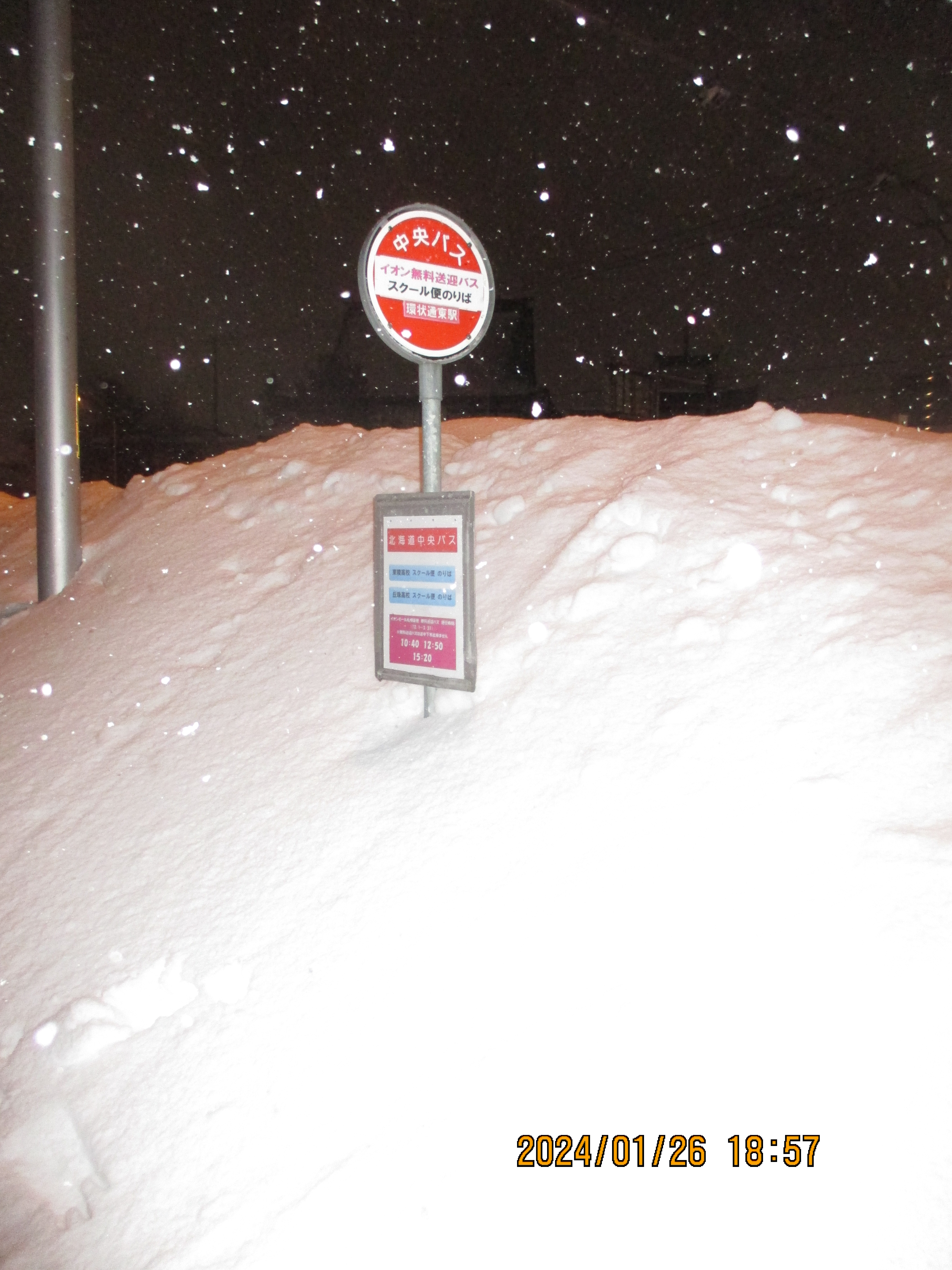 ��ʓ��w�O�C�I�����c��X�V���g���o�X�◯��