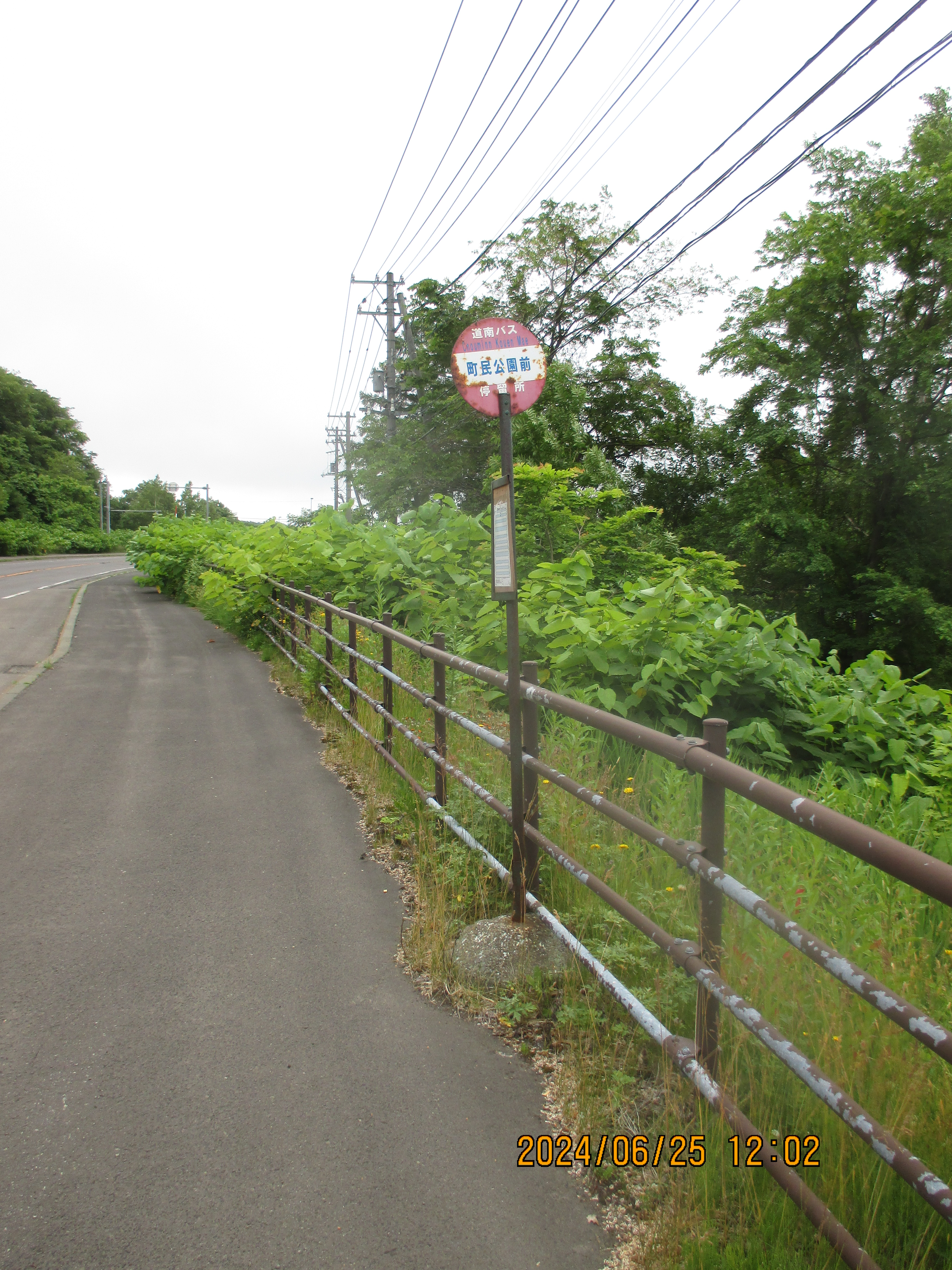 ���������O